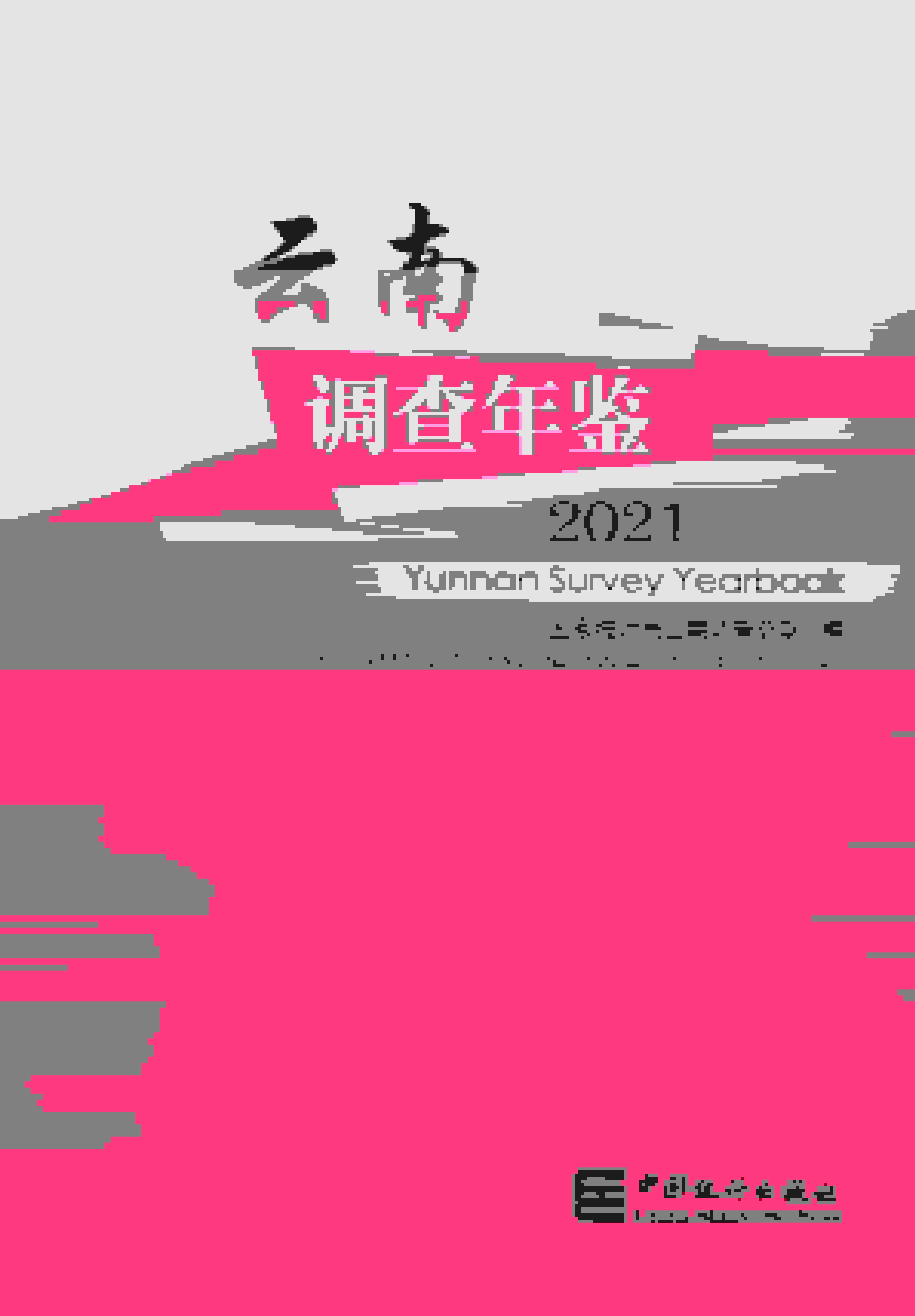 2021年云南调查年鉴封面
