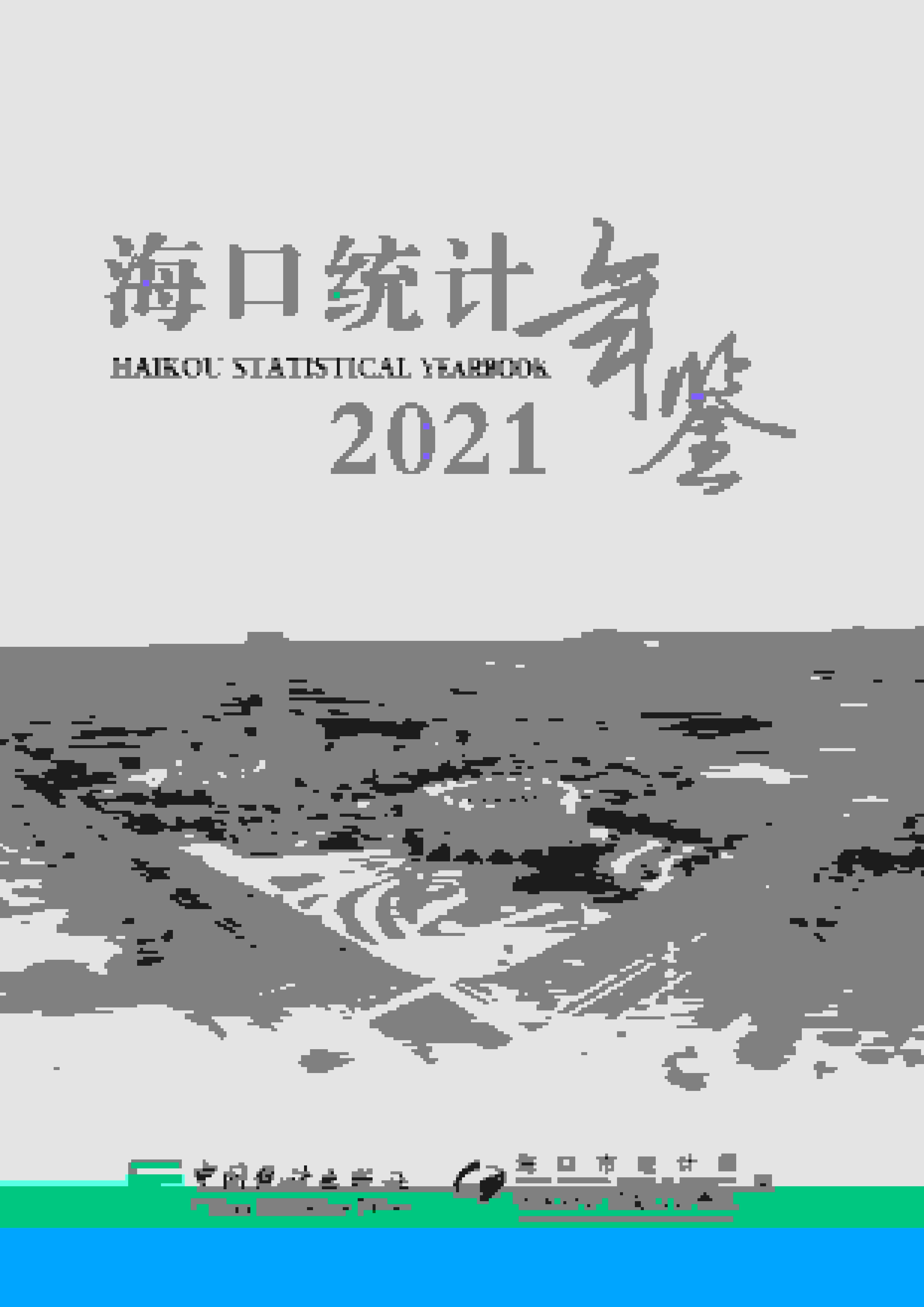 2021年海口统计年鉴封面