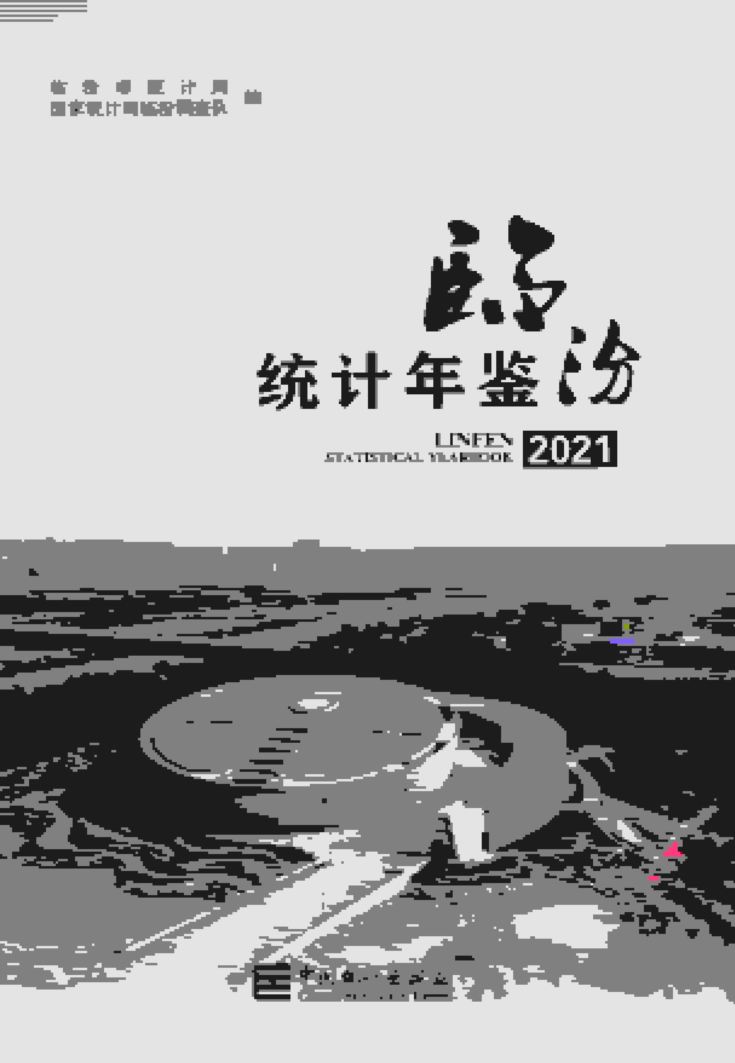 2021年临汾统计年鉴封面