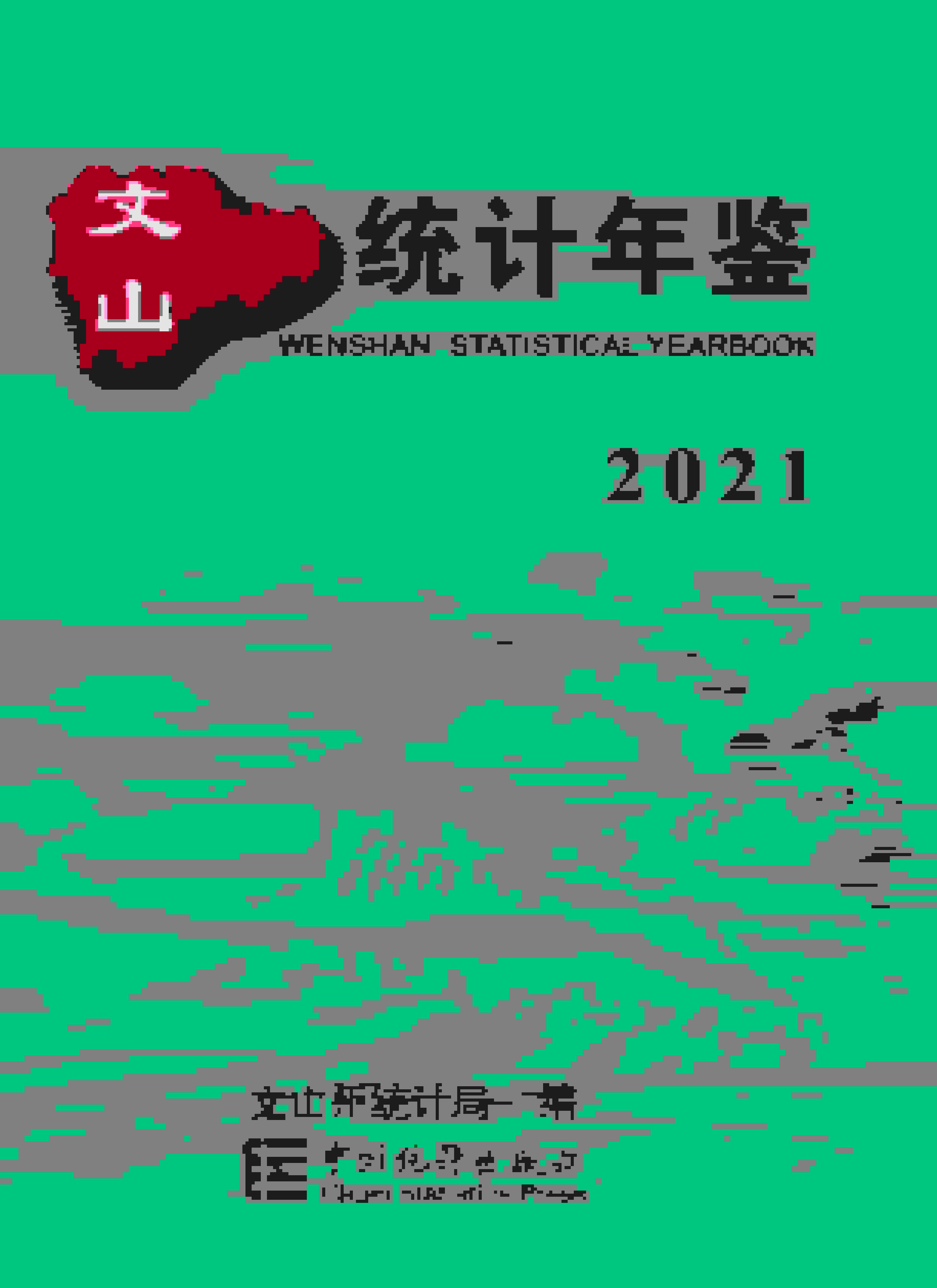 2021年文山州统计年鉴封面