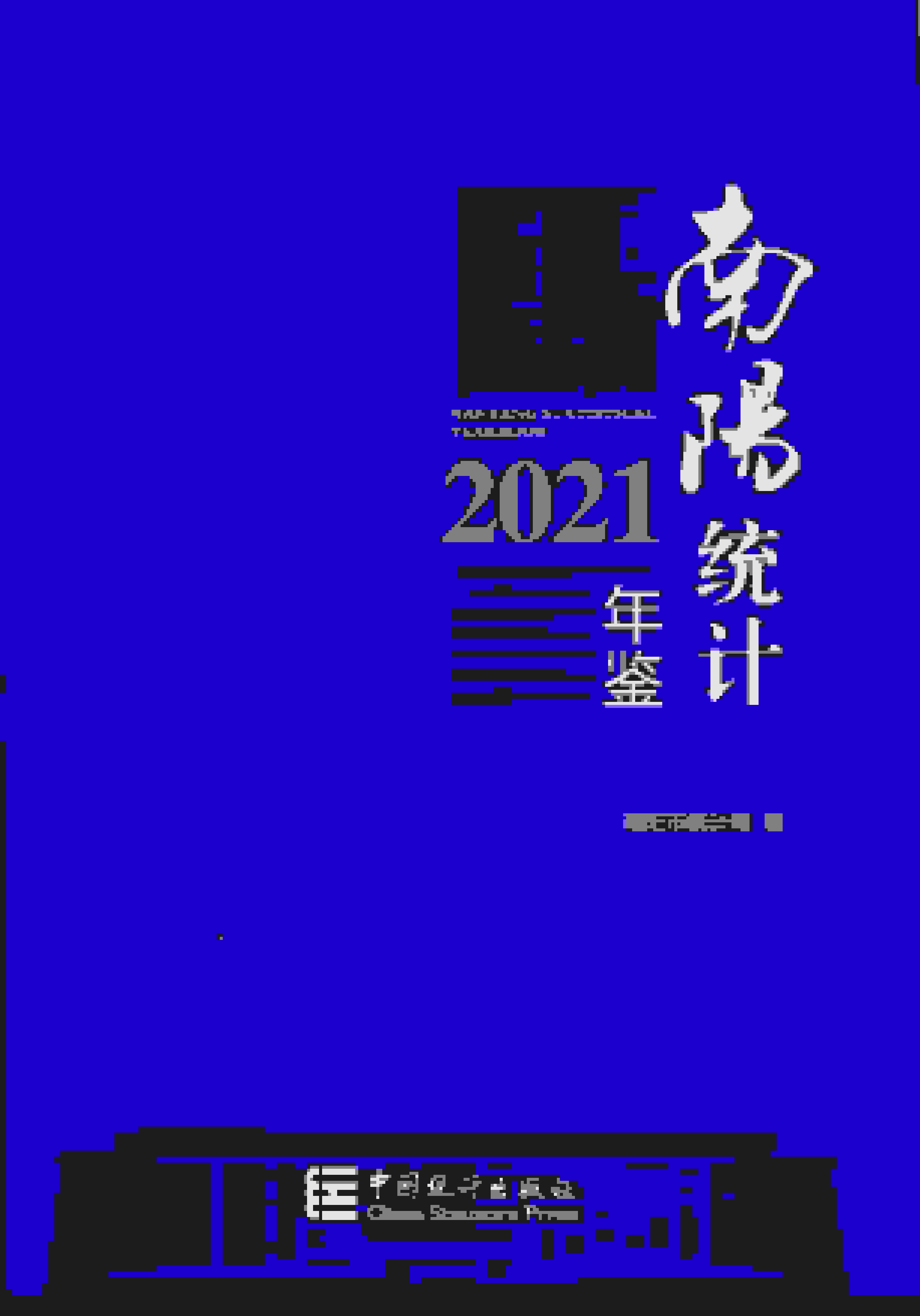 2021年南阳统计年鉴封面