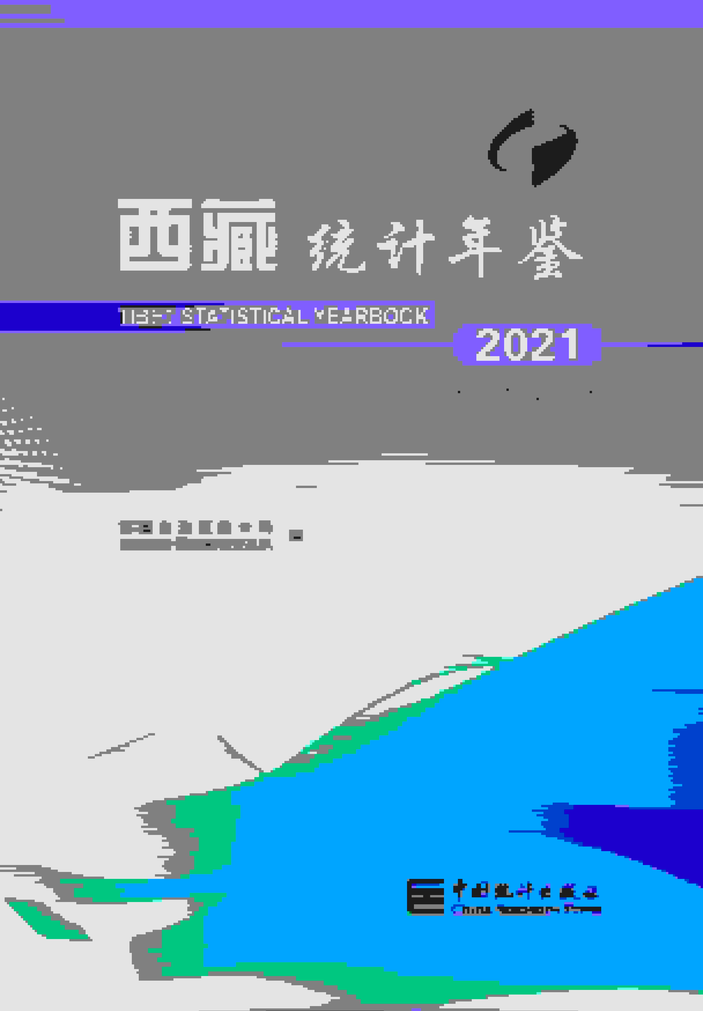 2021年西藏统计年鉴封面