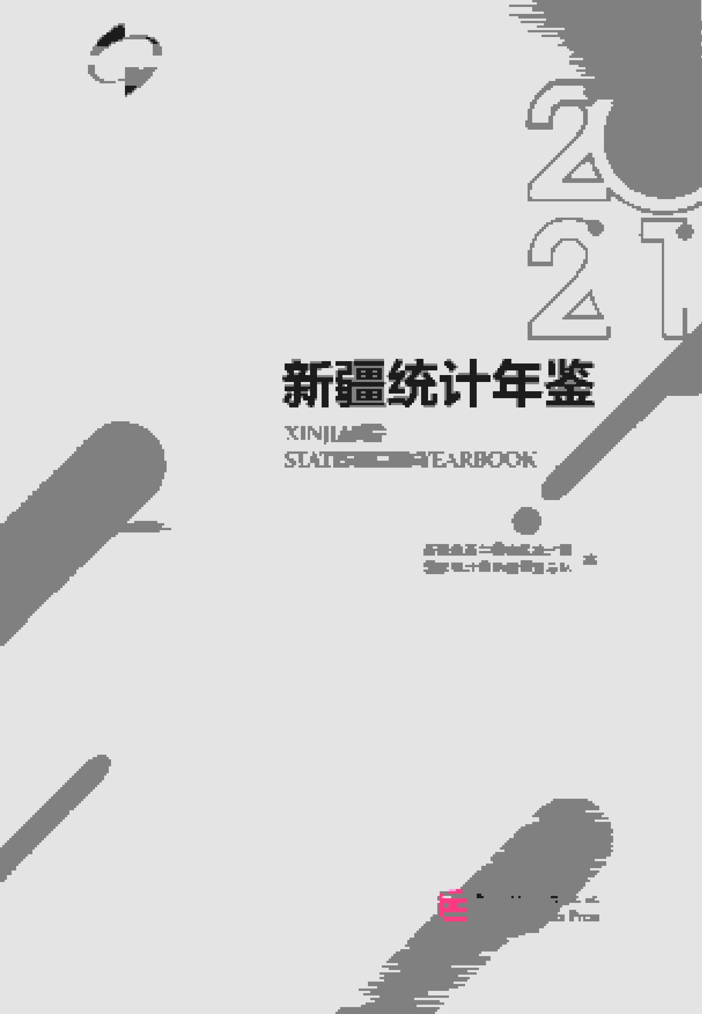 2021年新疆统计年鉴封面