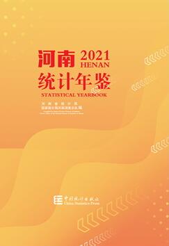 2021年河南统计年鉴封面