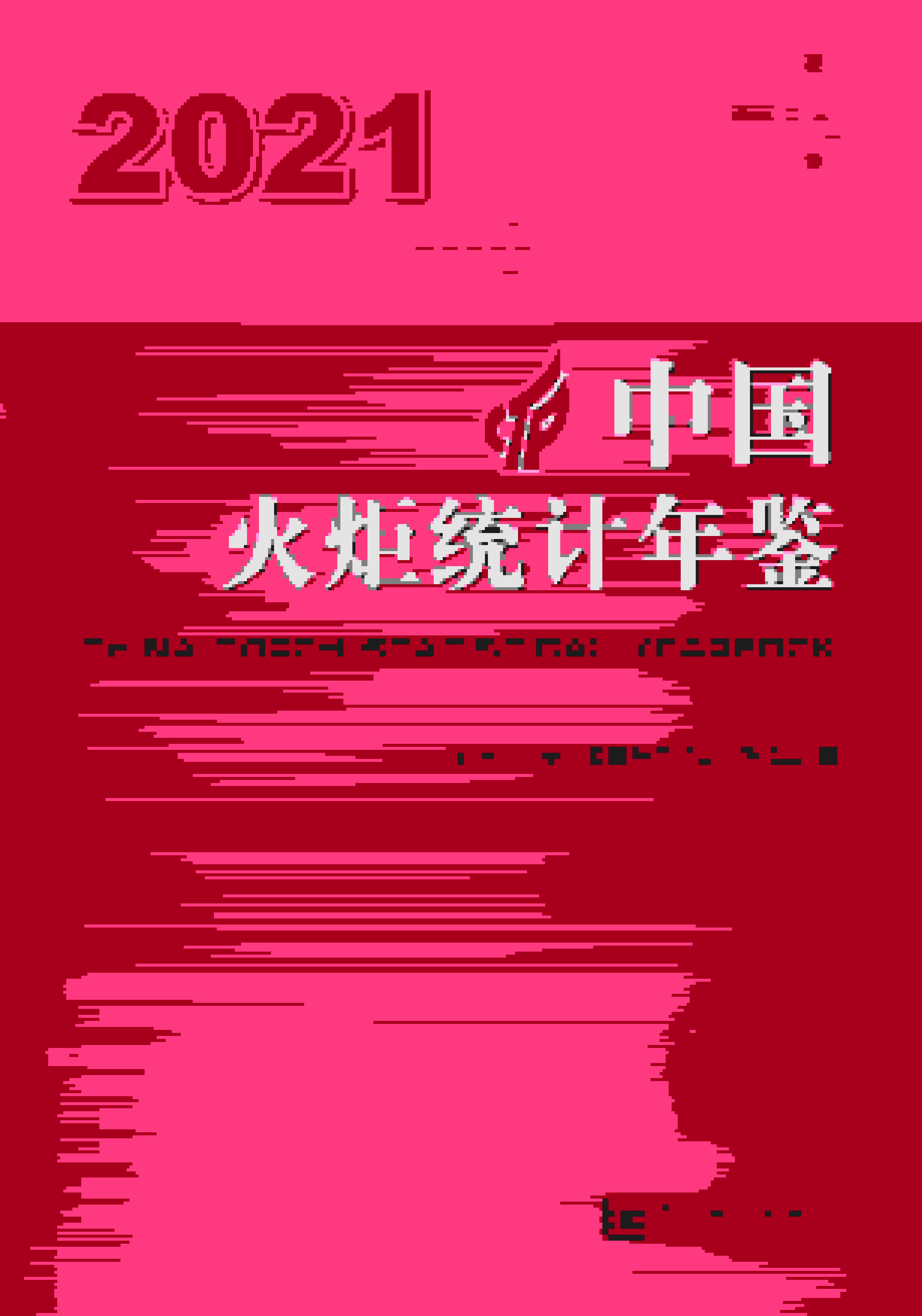 2021年中国火炬统计年鉴封面