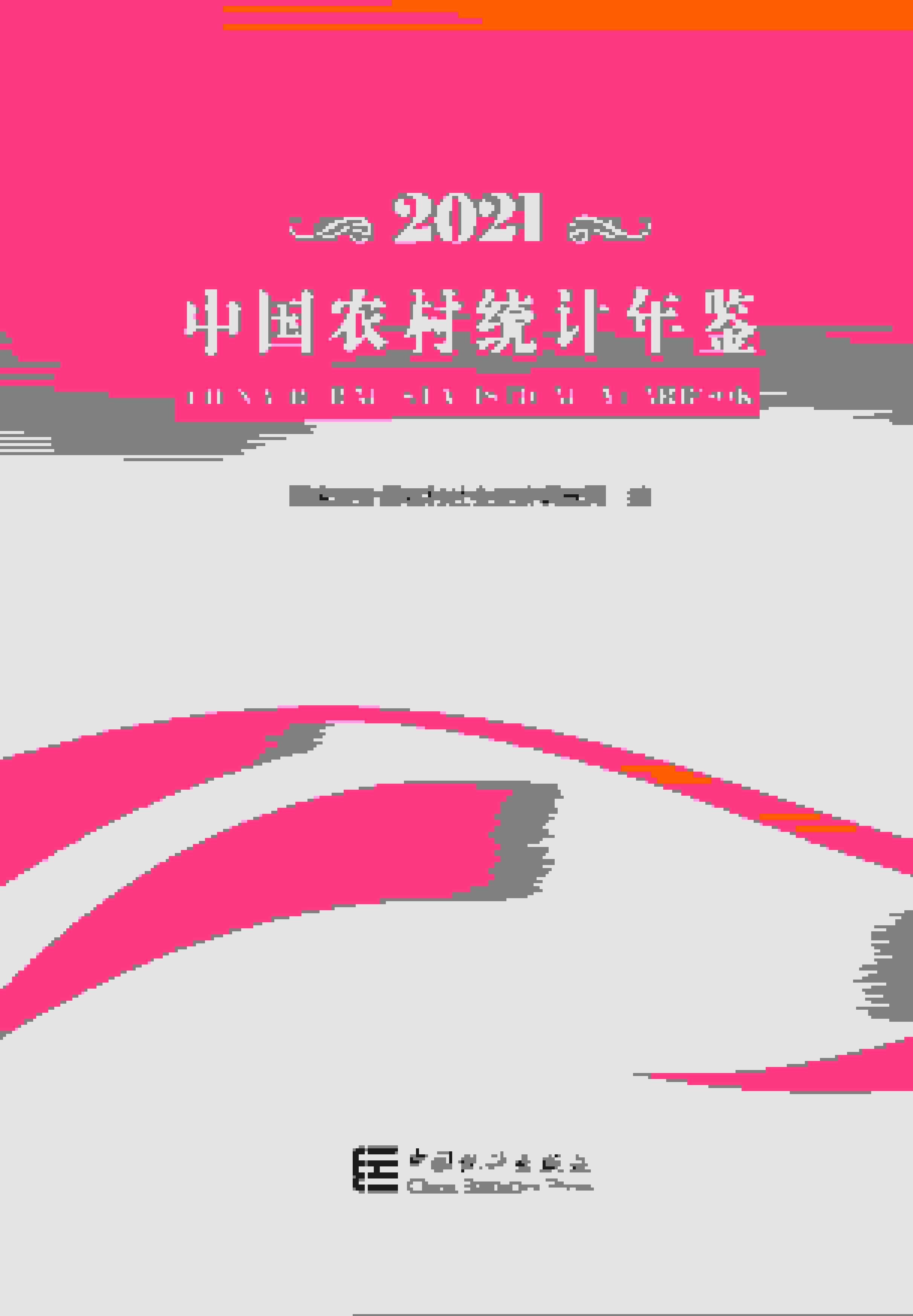 2021年中国农村统计年鉴封面