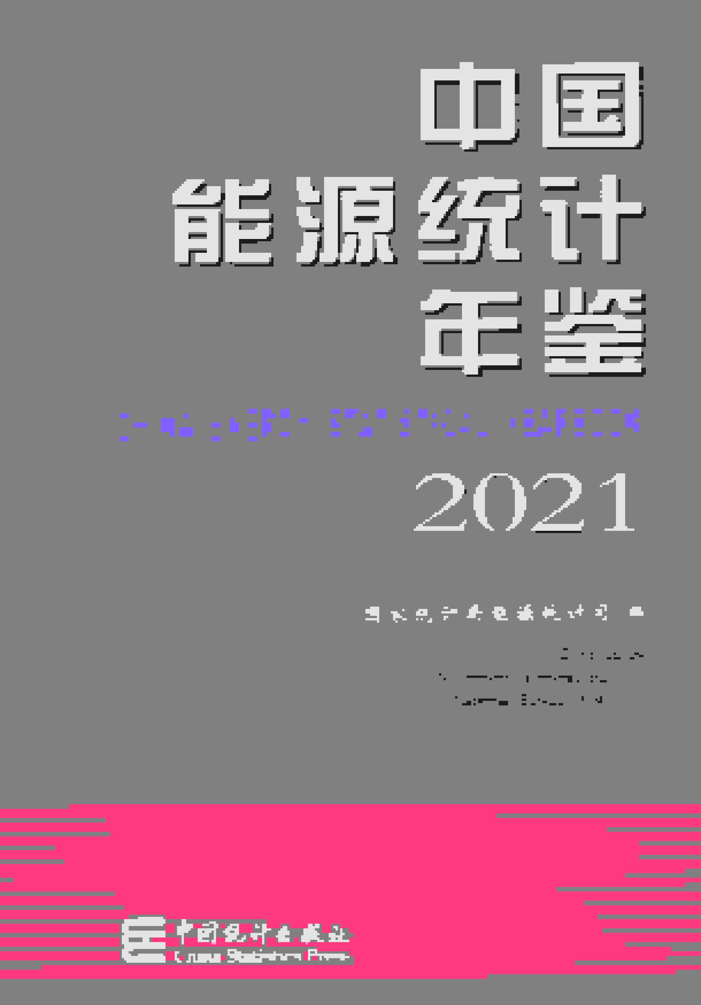 2021年中国能源统计年鉴封面