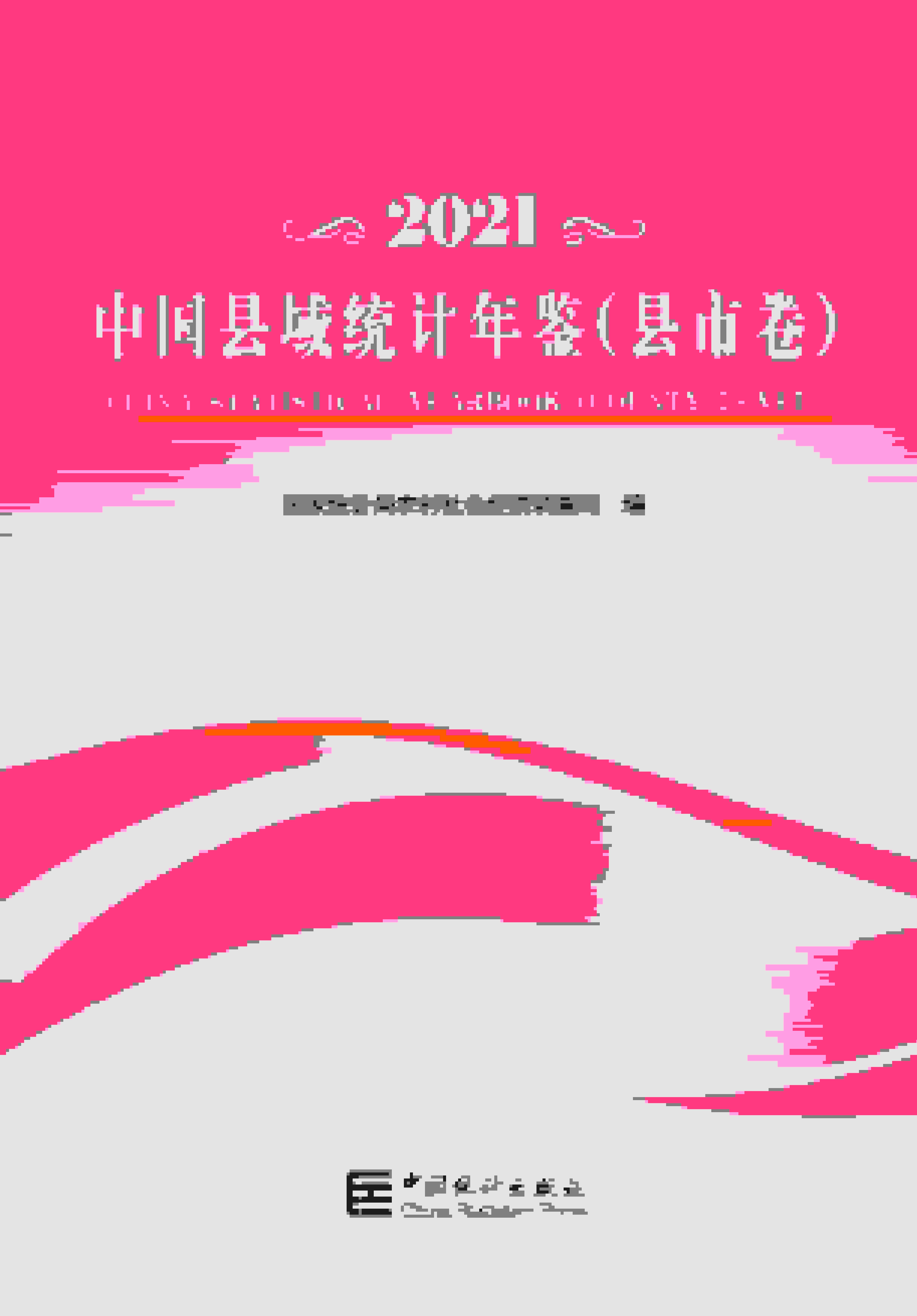 2021年中国县域统计年鉴封面