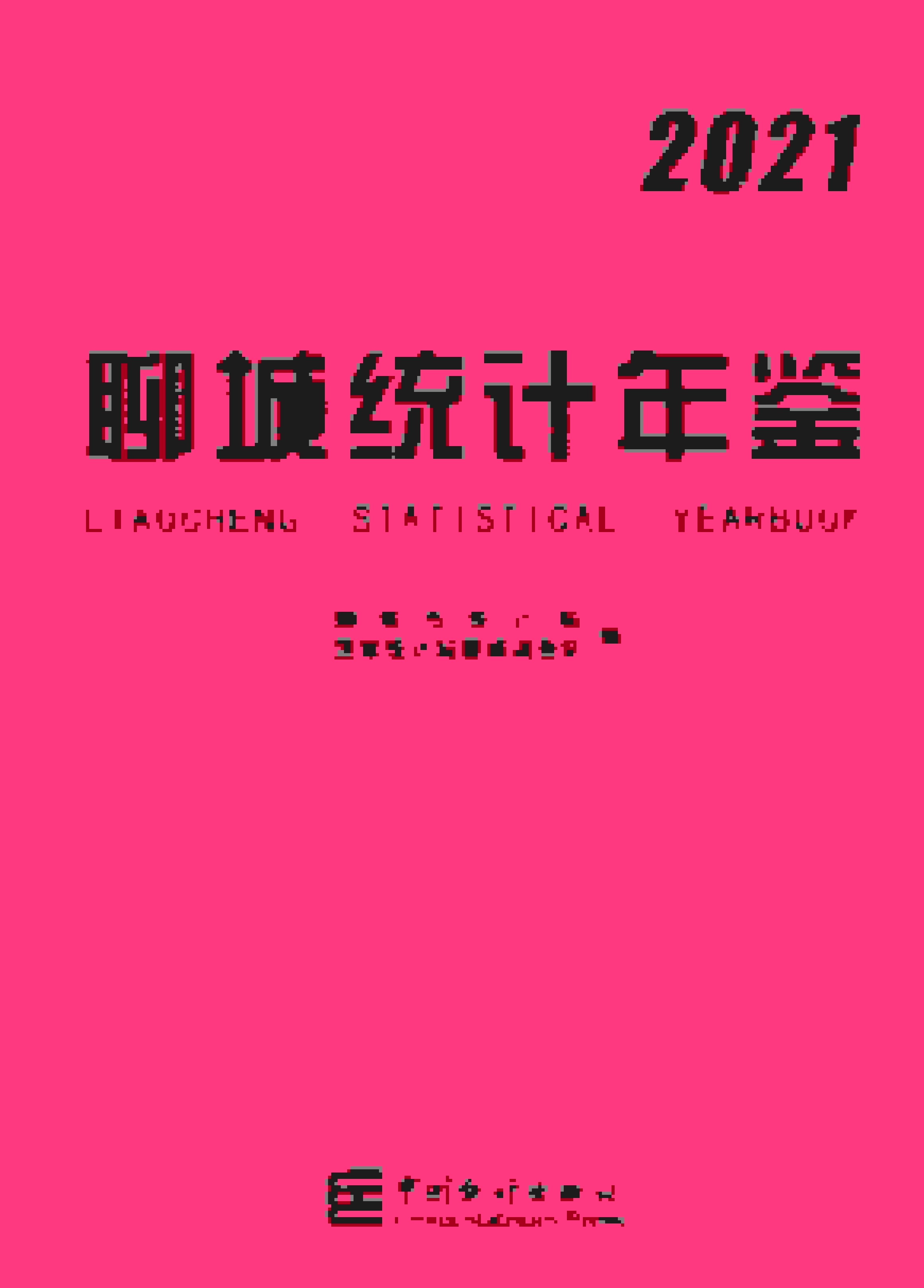 2021年聊城统计年鉴封面