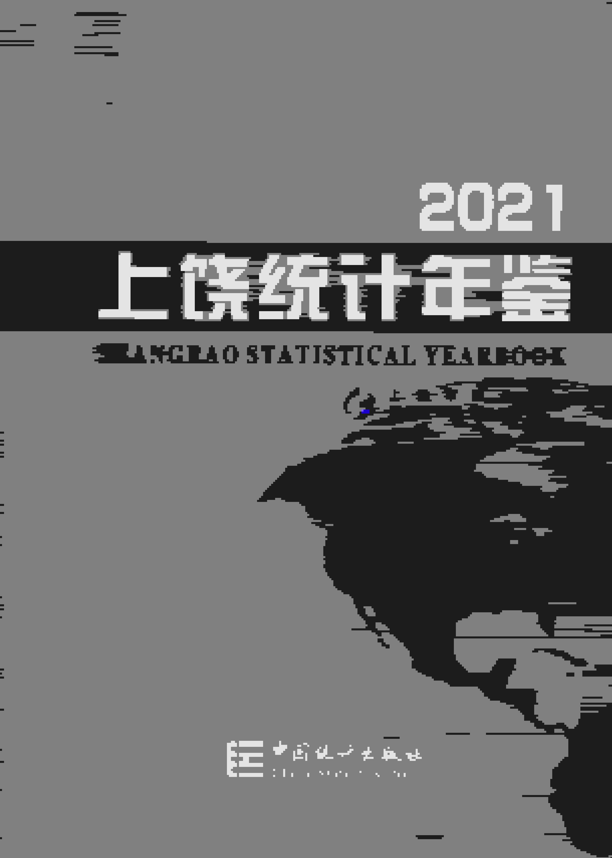 2021年上饶统计年鉴封面
