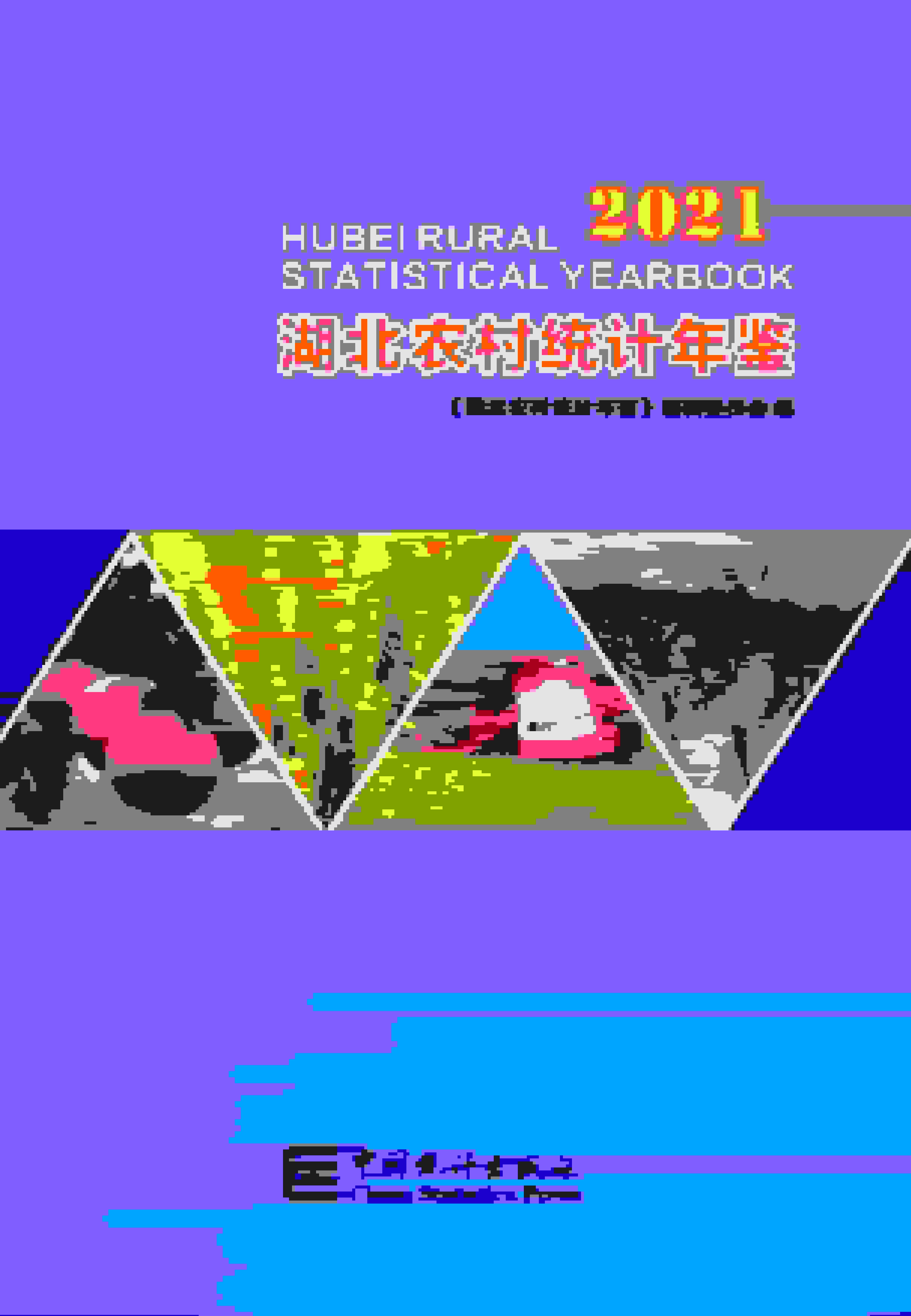 2021年湖北农村统计年鉴封面