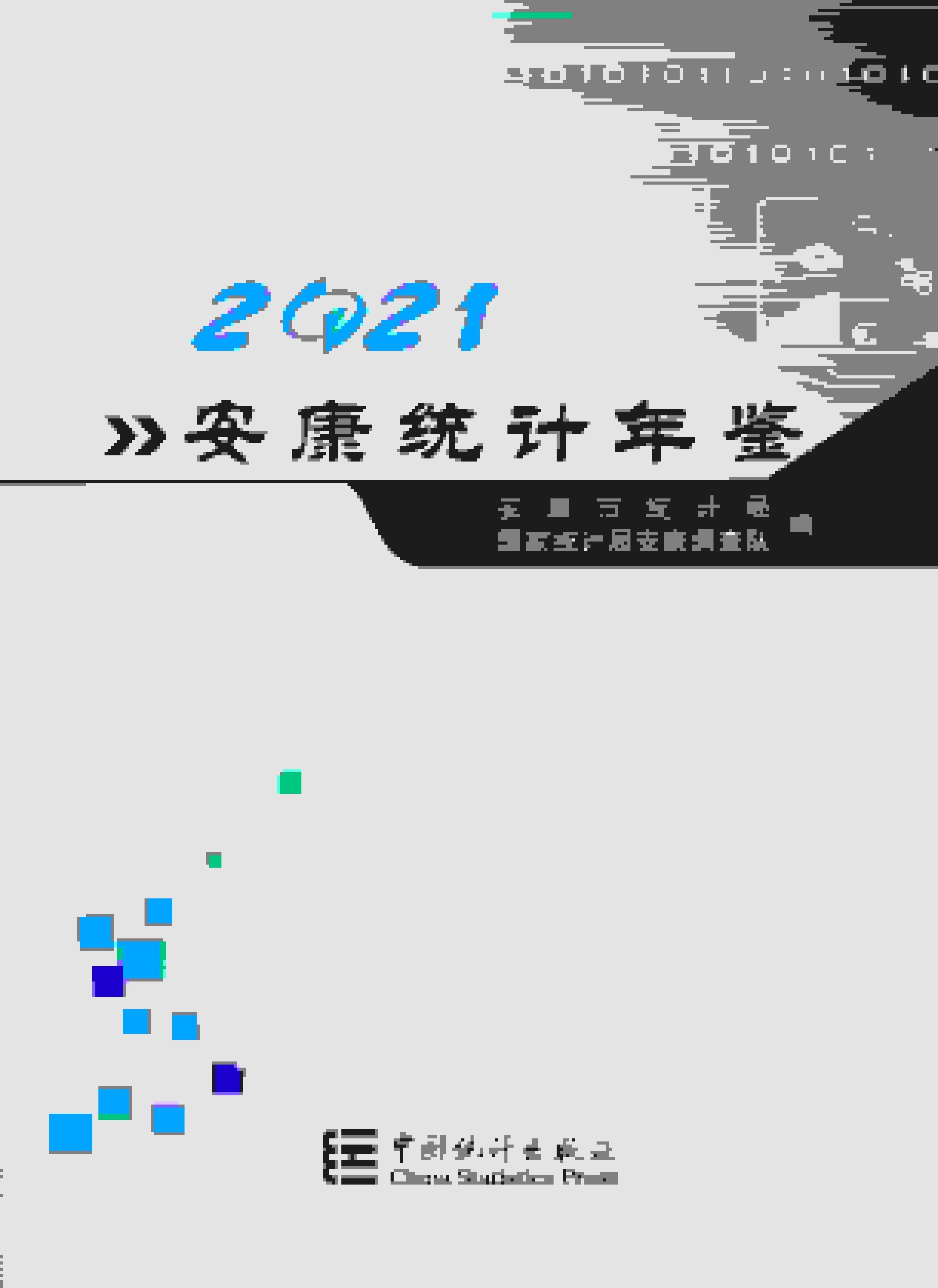 2021年安康统计年鉴封面