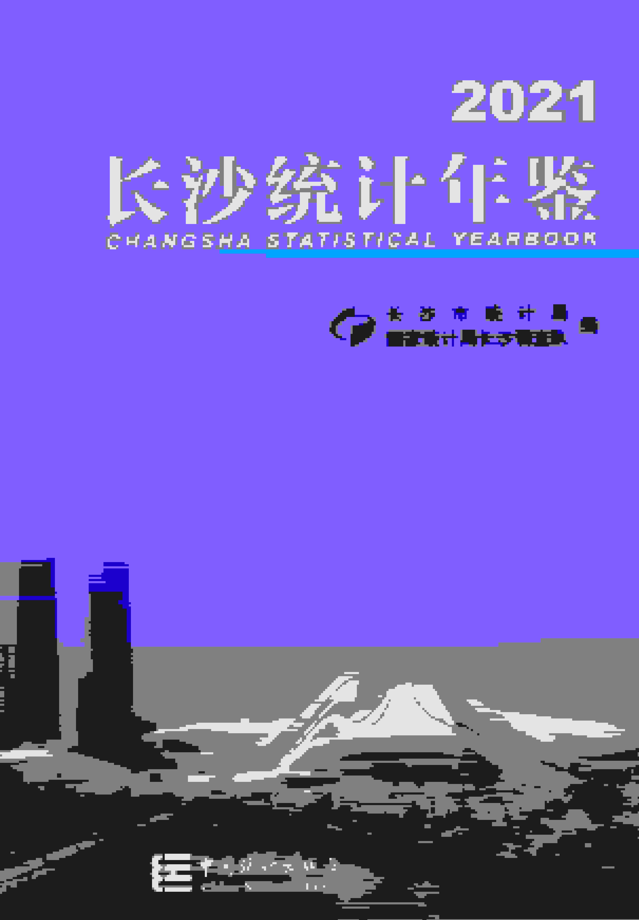2021年长沙统计年鉴封面