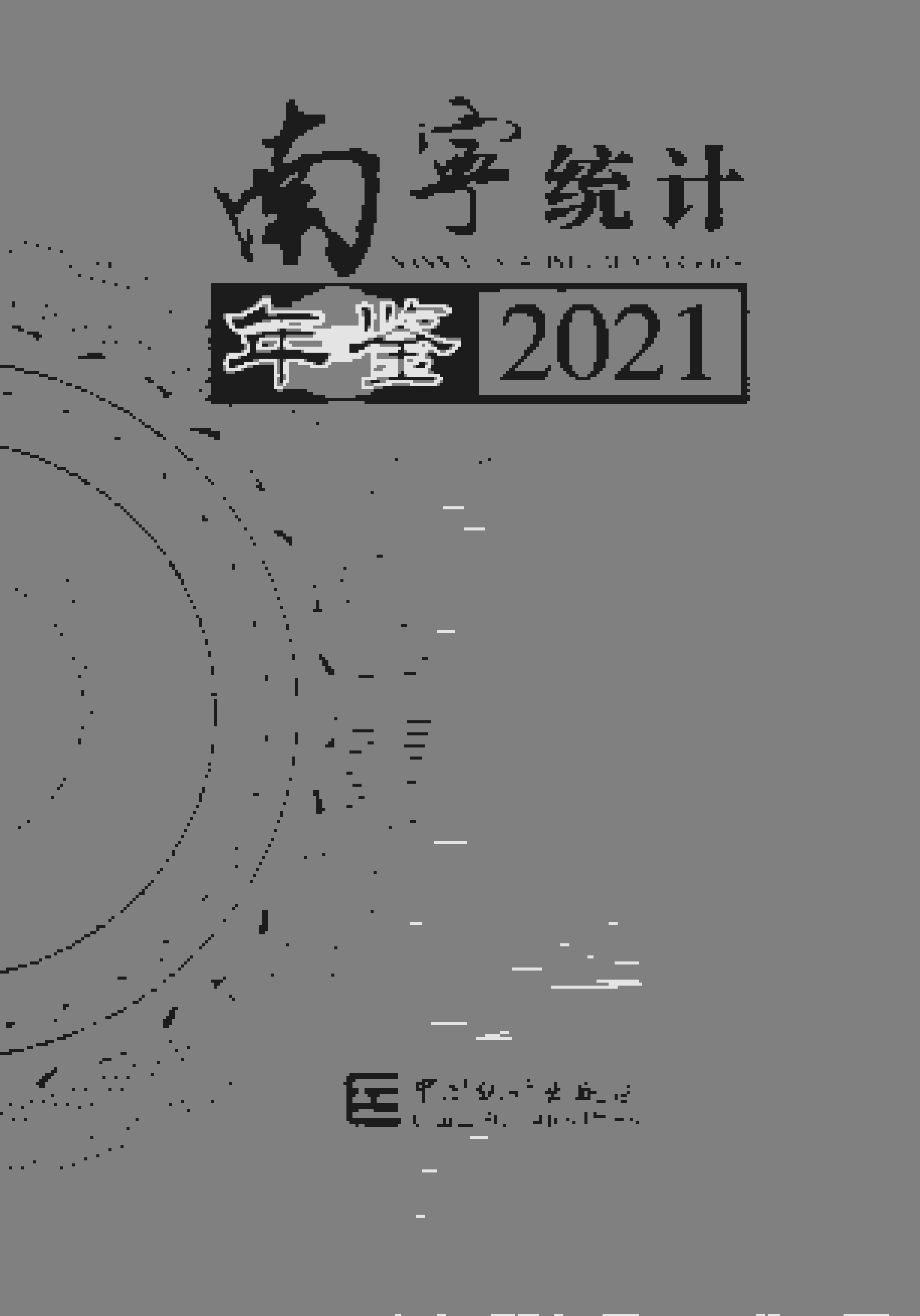 2021年南宁统计年鉴封面