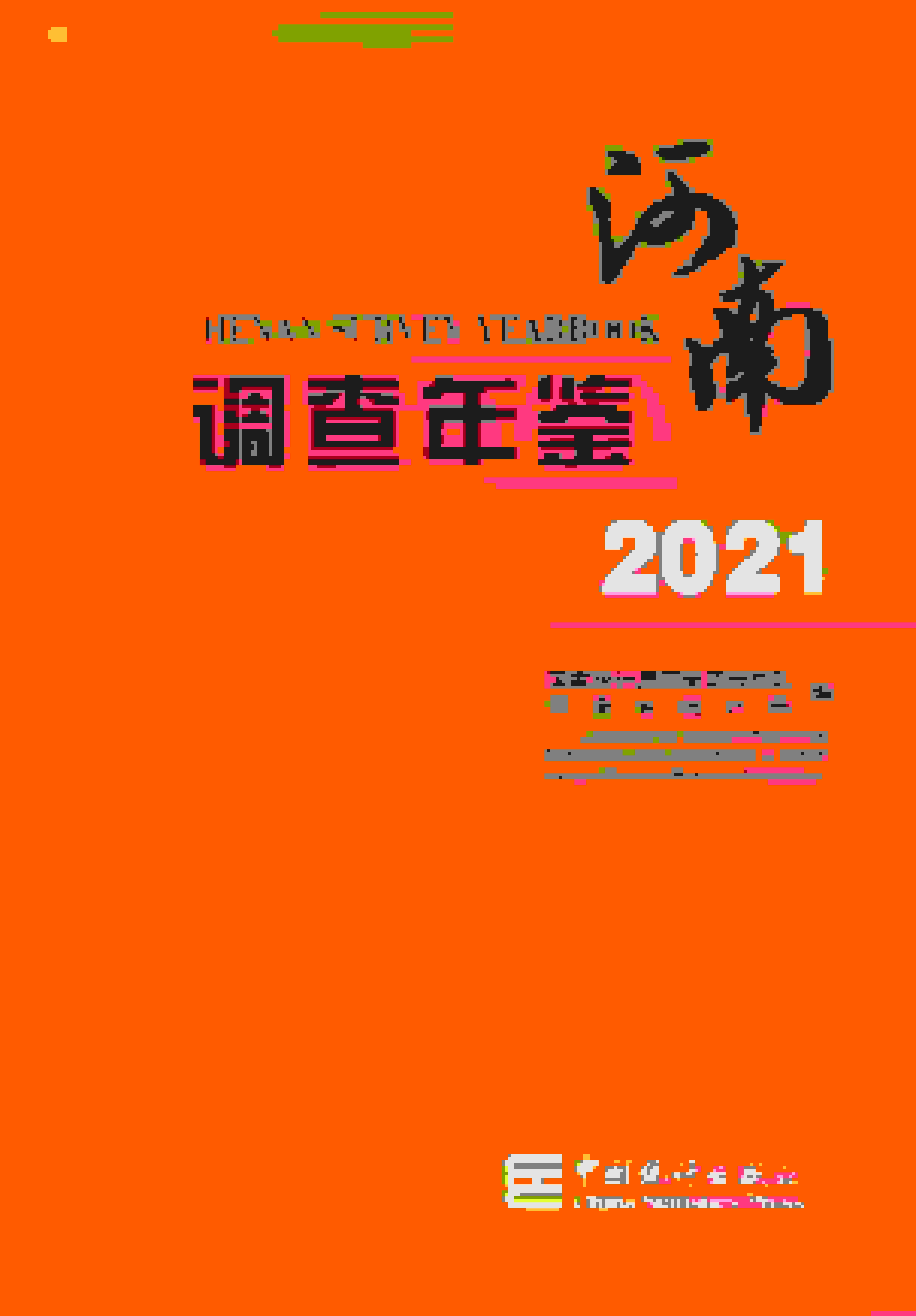 2021年河南调查年鉴封面