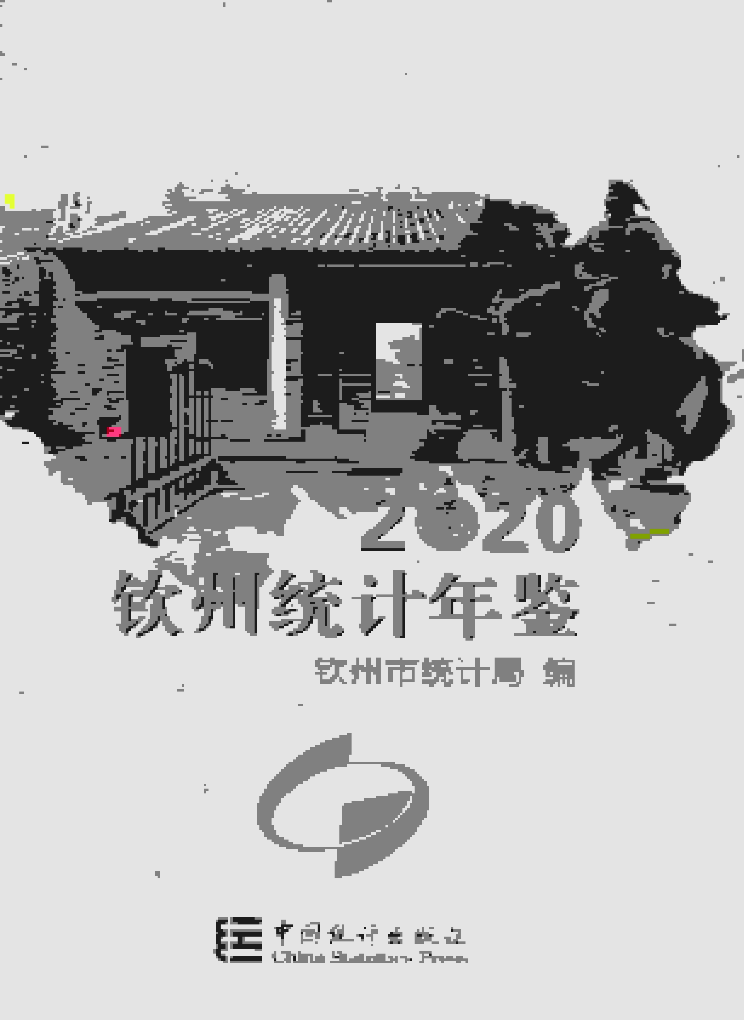 2020年钦州统计年鉴封面
