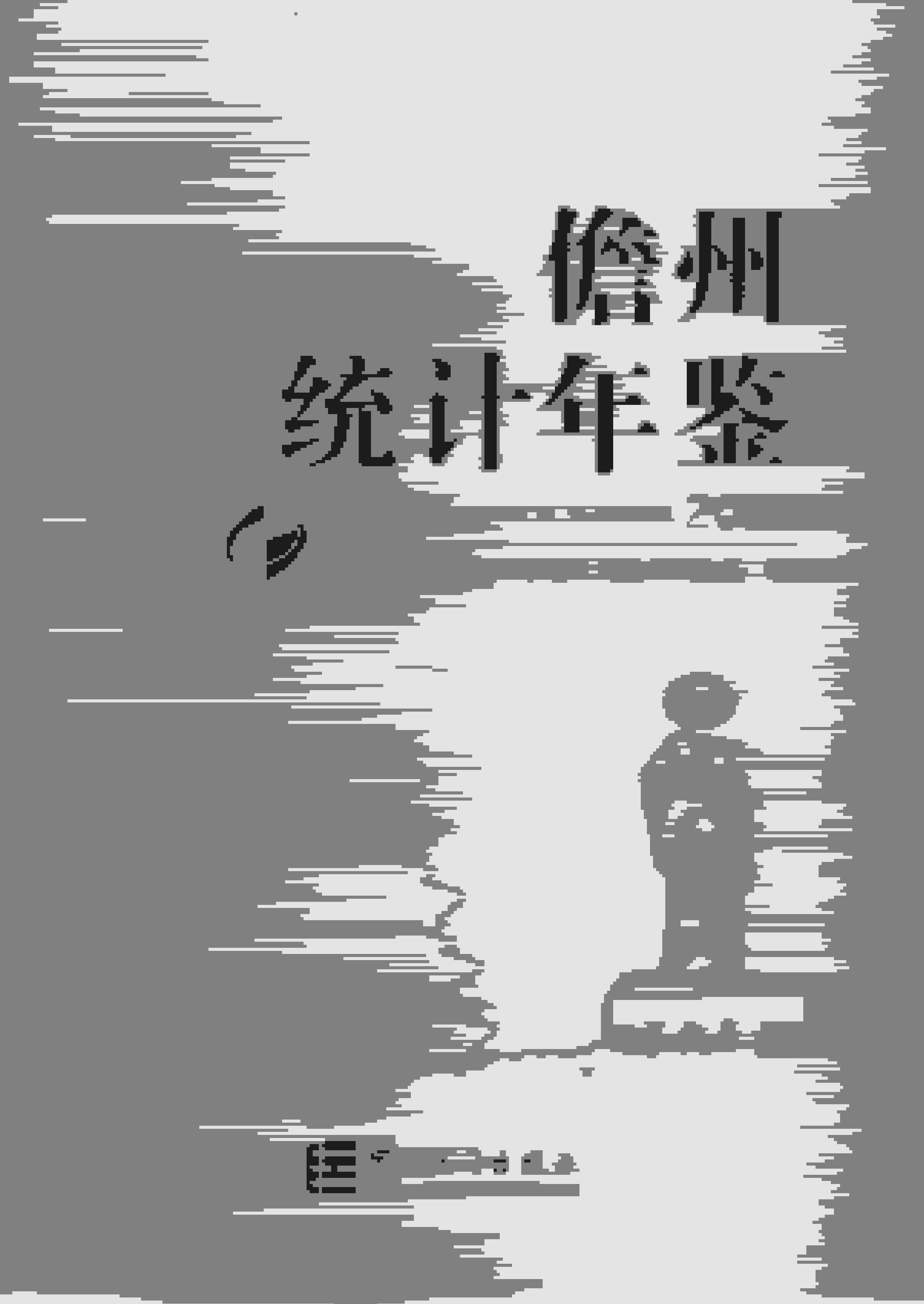 2019年儋州统计年鉴封面