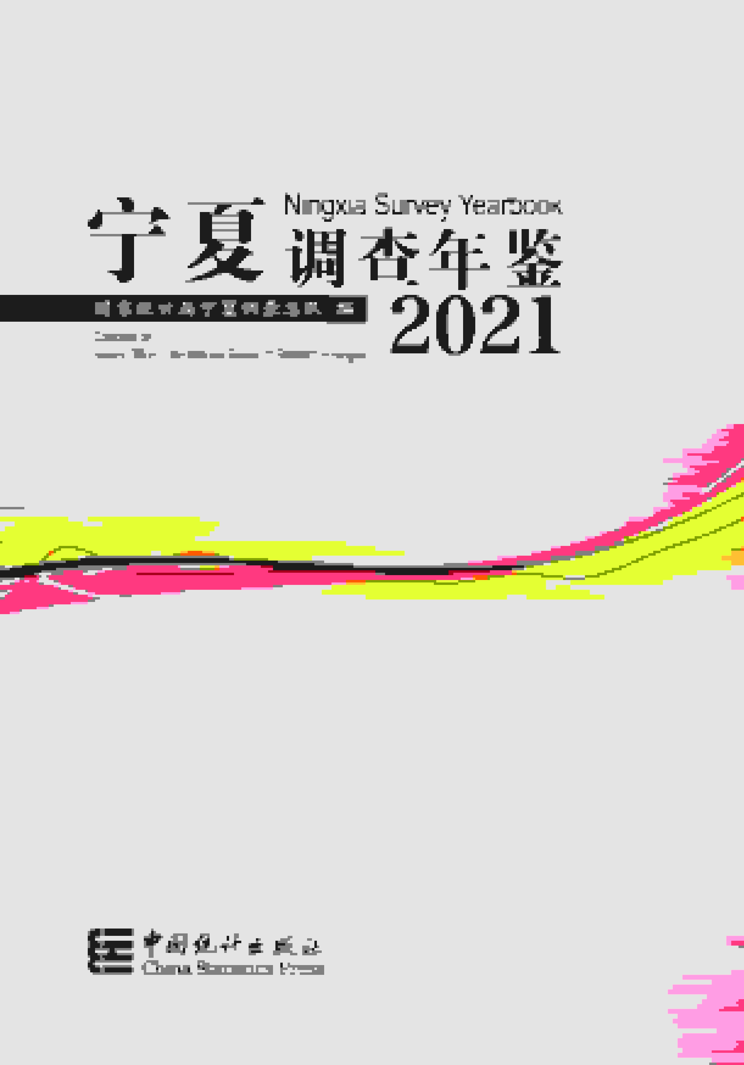 2021年宁夏调查年鉴封面