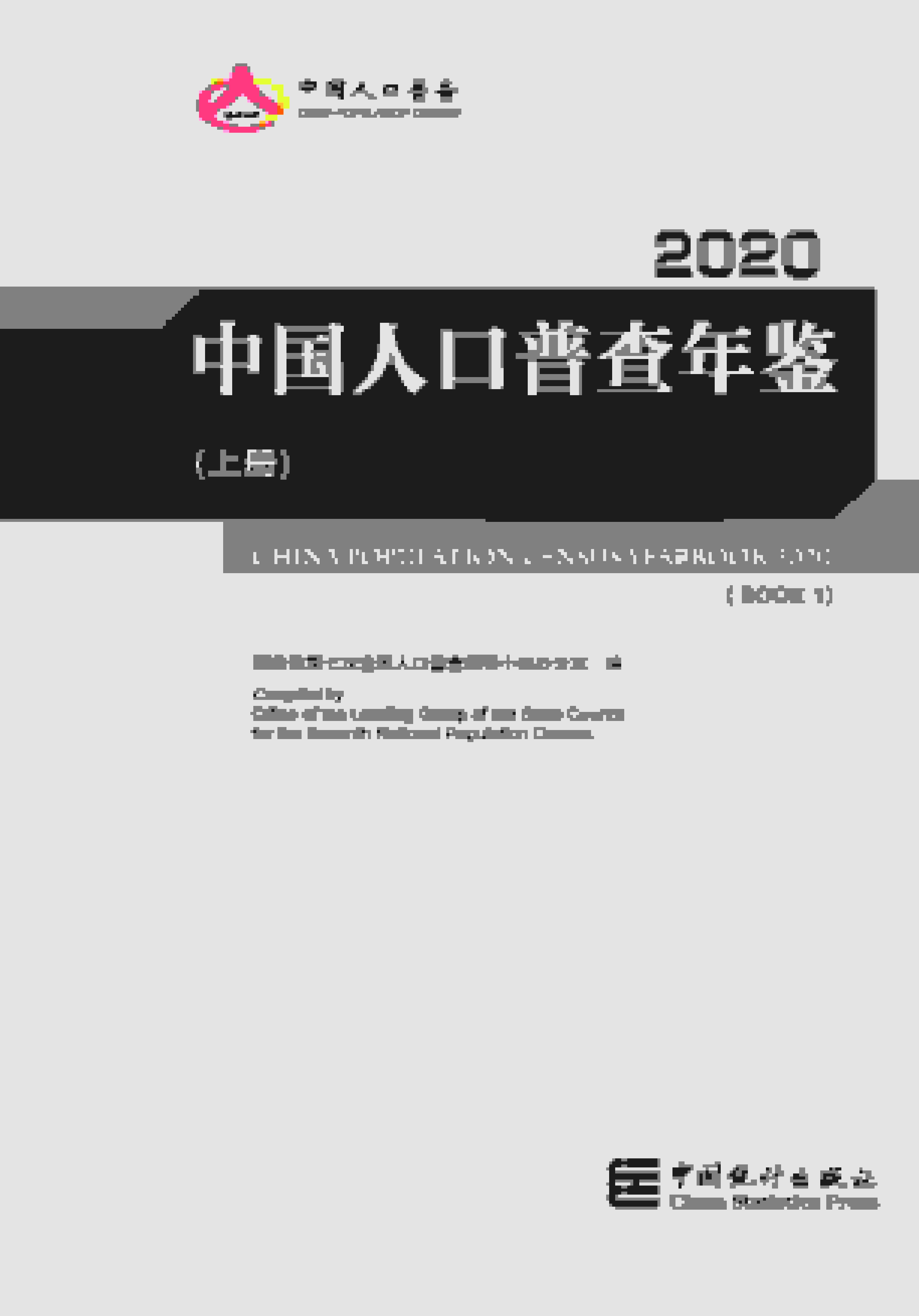 2020年中国人口普查年鉴封面