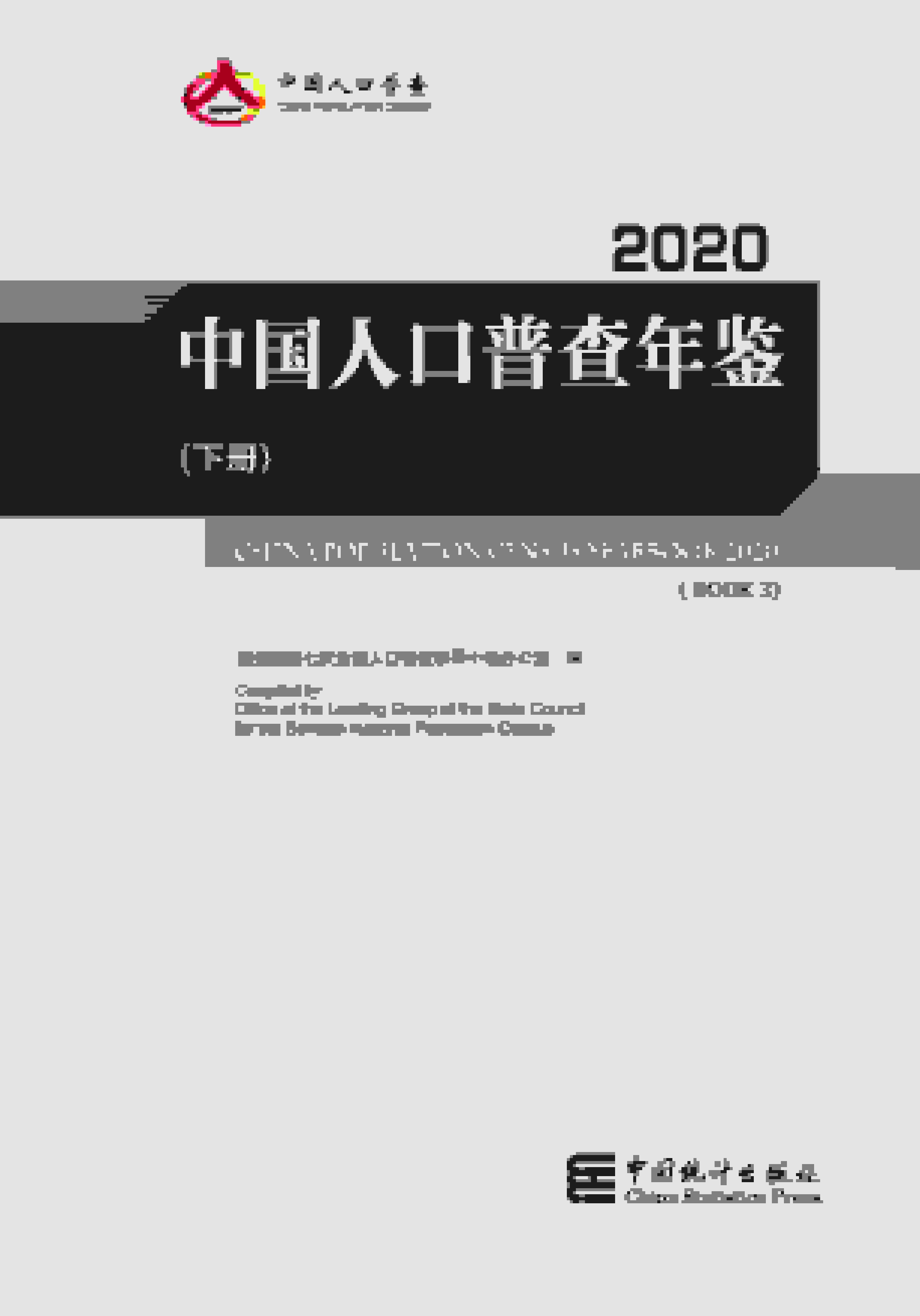 2020年中国人口普查年鉴封面