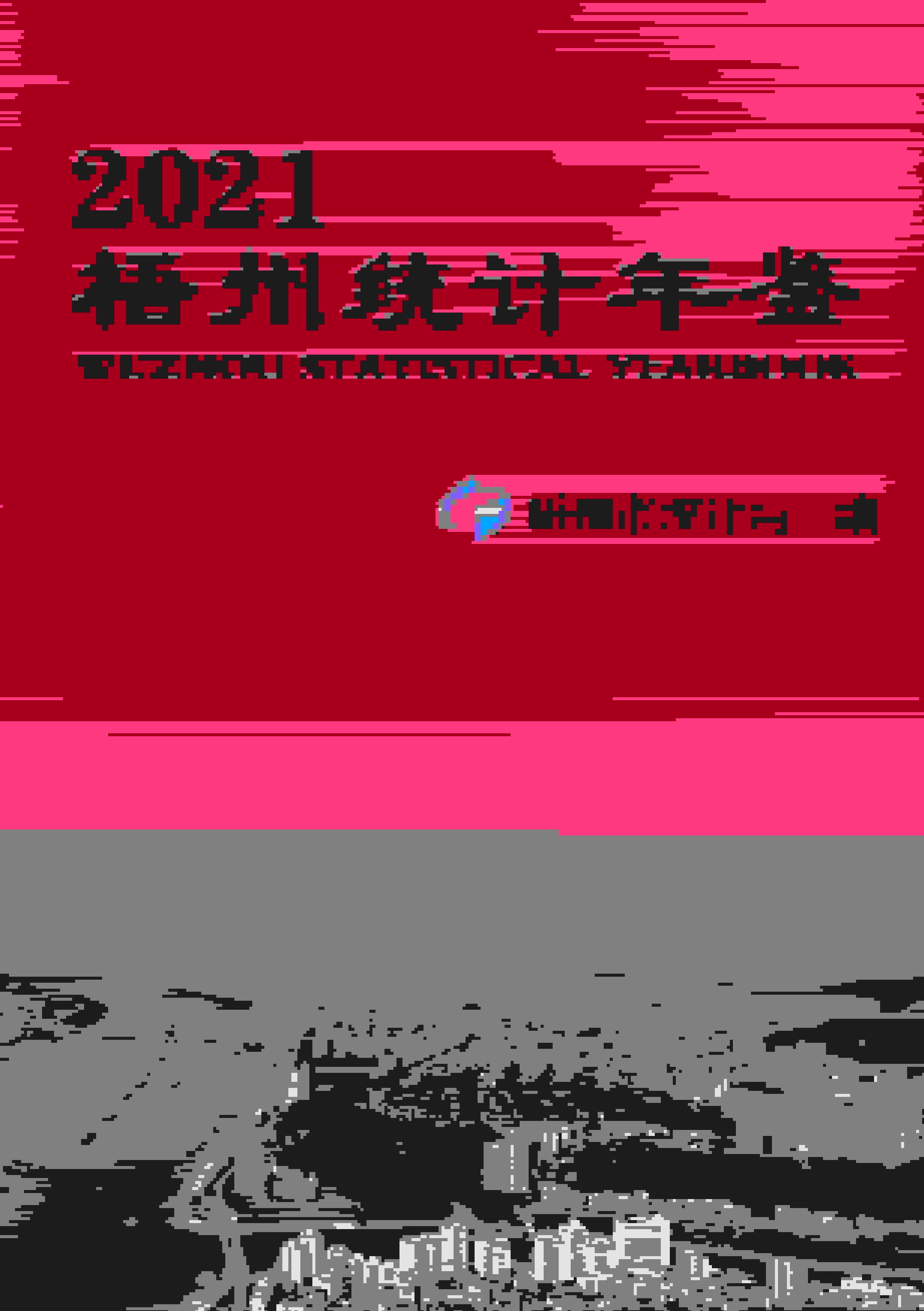 2021年梧州统计年鉴封面
