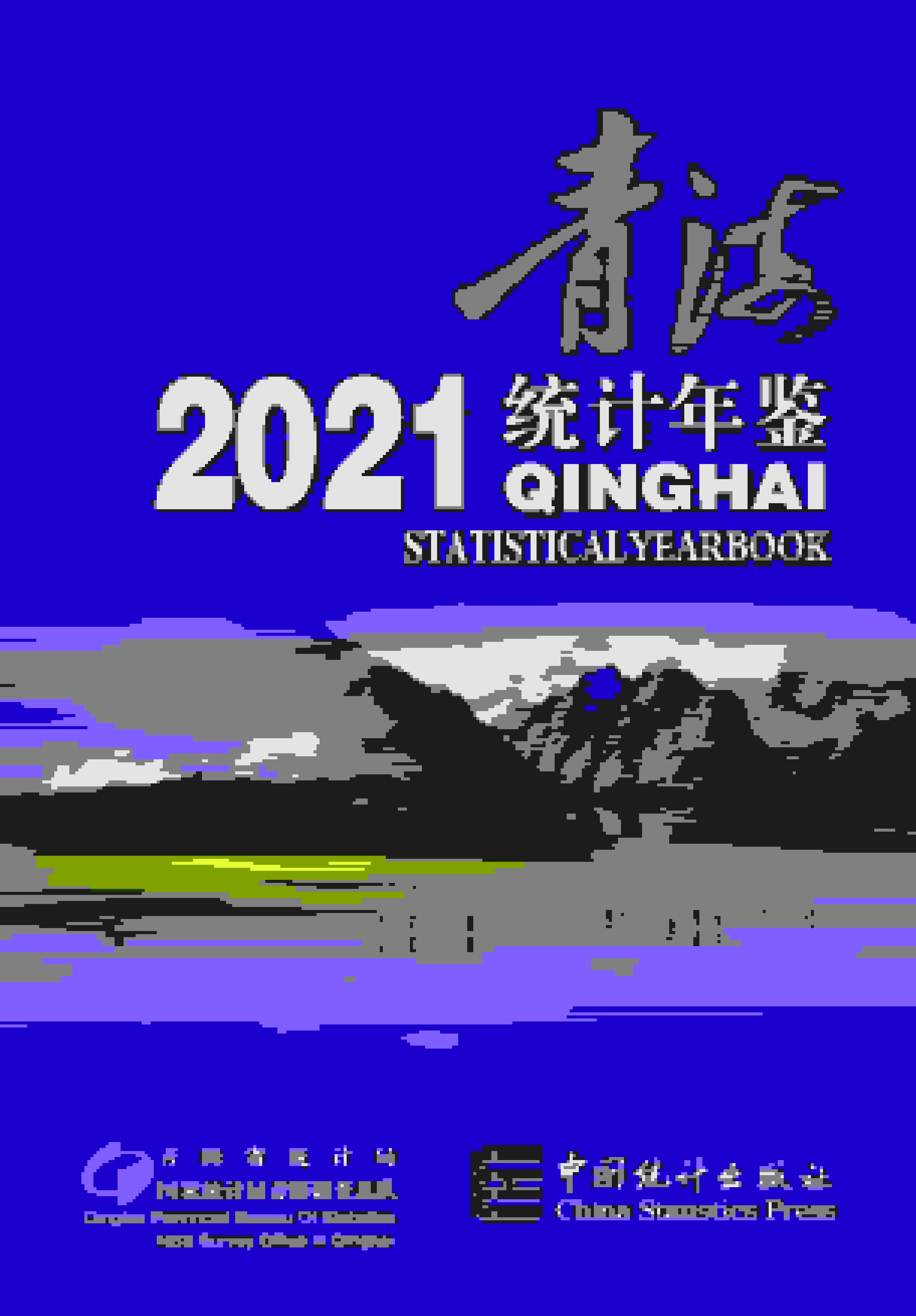 2021年青海统计年鉴封面