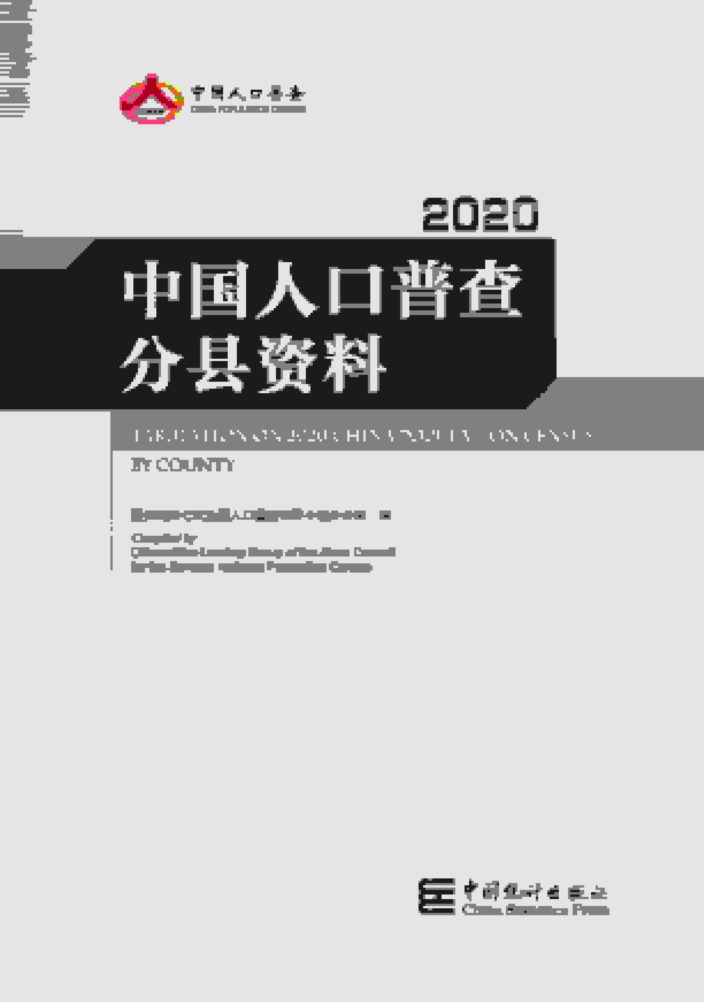 2020年中国人口普查分县资料封面