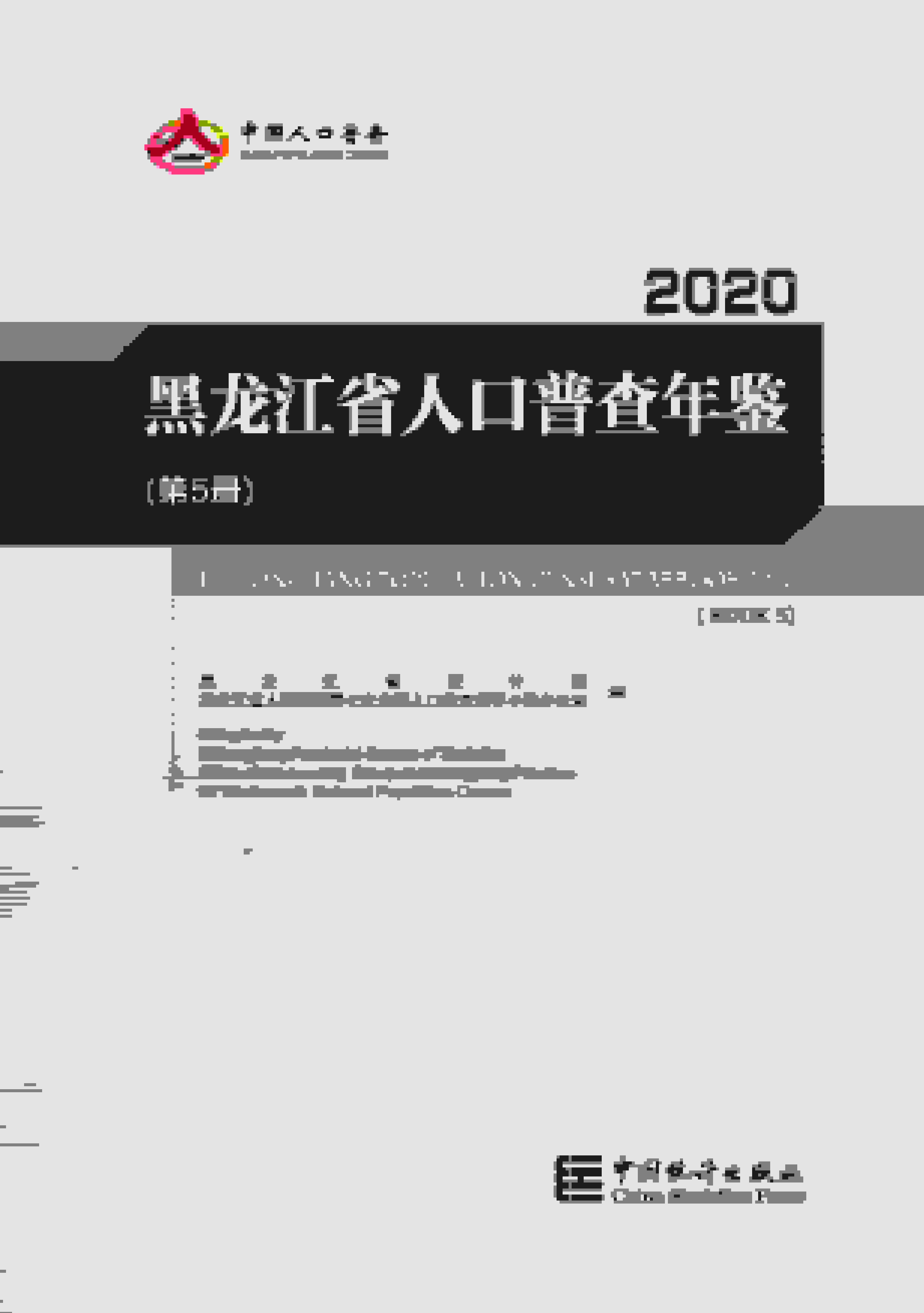 2020年黑龙江省人口普查年鉴封面