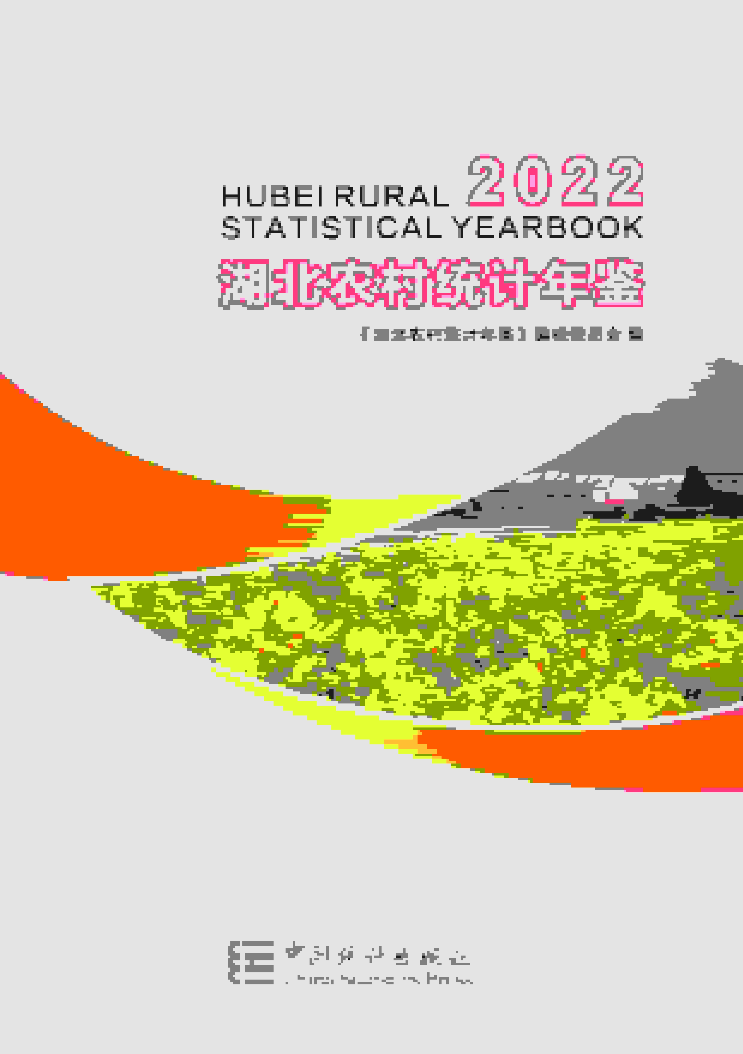 2022年湖北农村统计年鉴封面