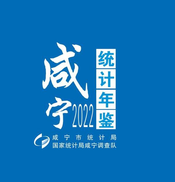 2022年咸宁统计年鉴封面