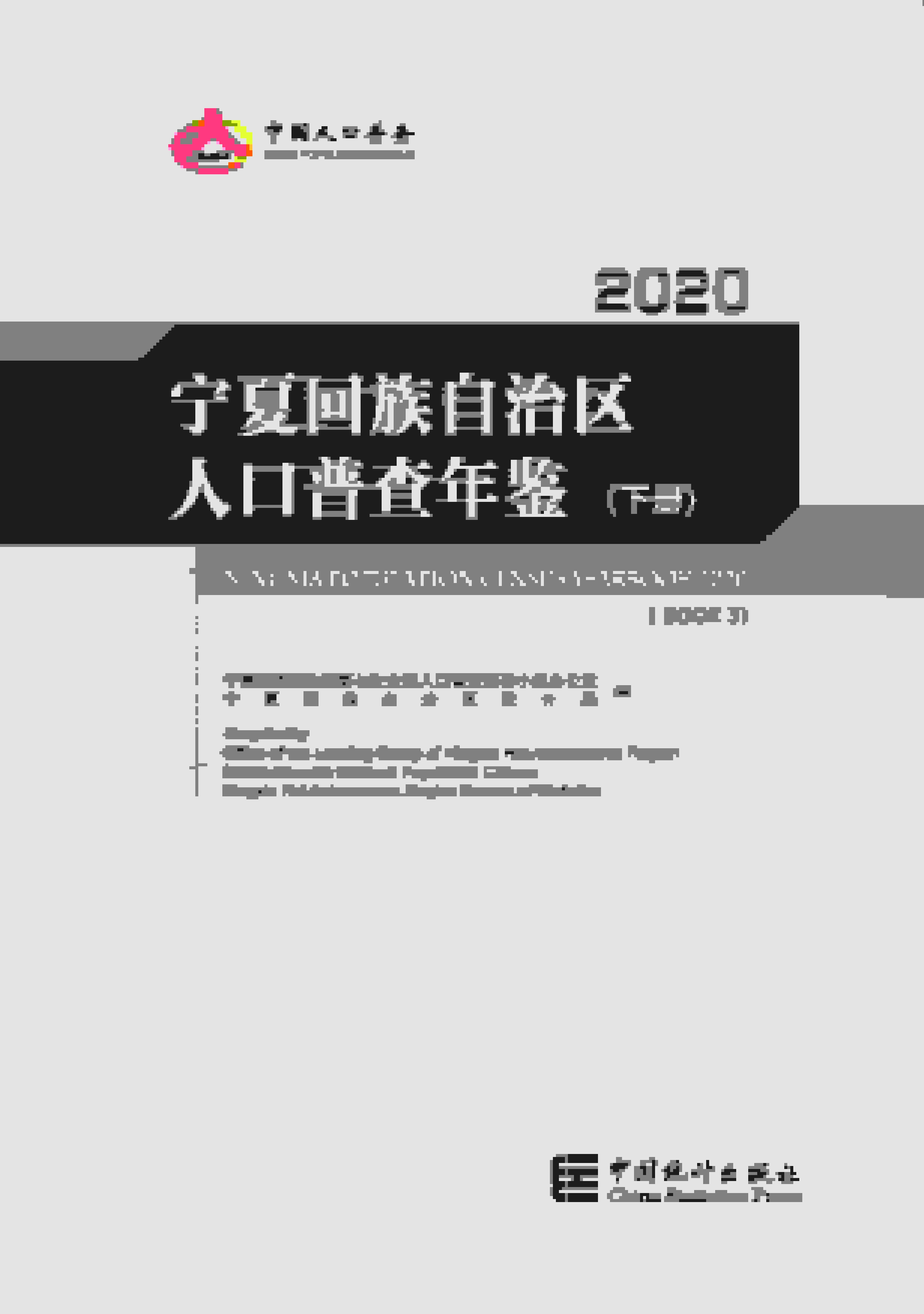 2020年宁夏回族自治区人口普查年鉴封面