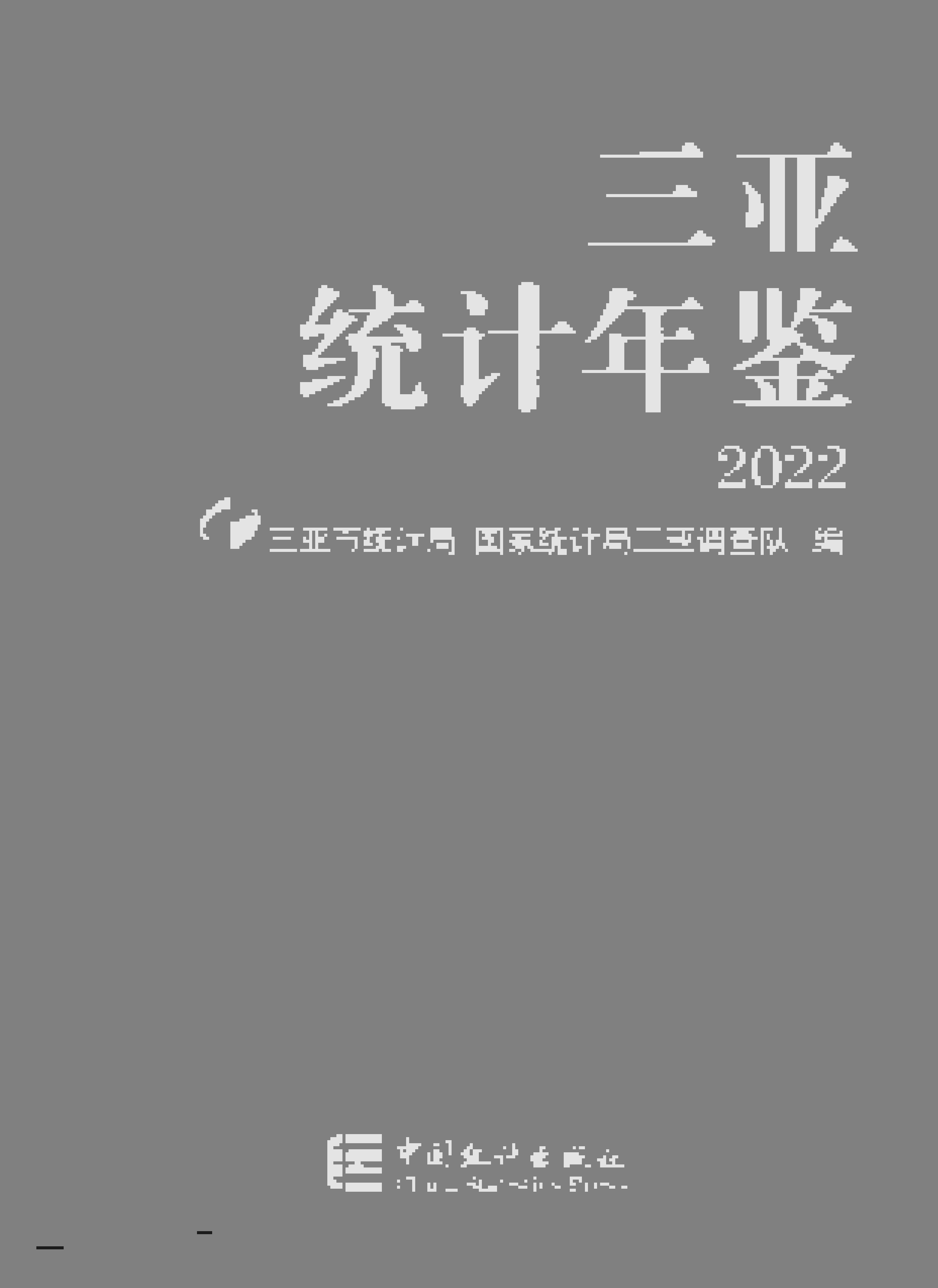 2022年三亚统计年鉴封面