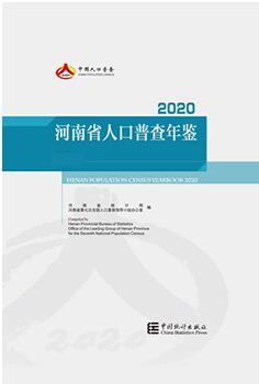 2020年河南省人口普查年鉴封面