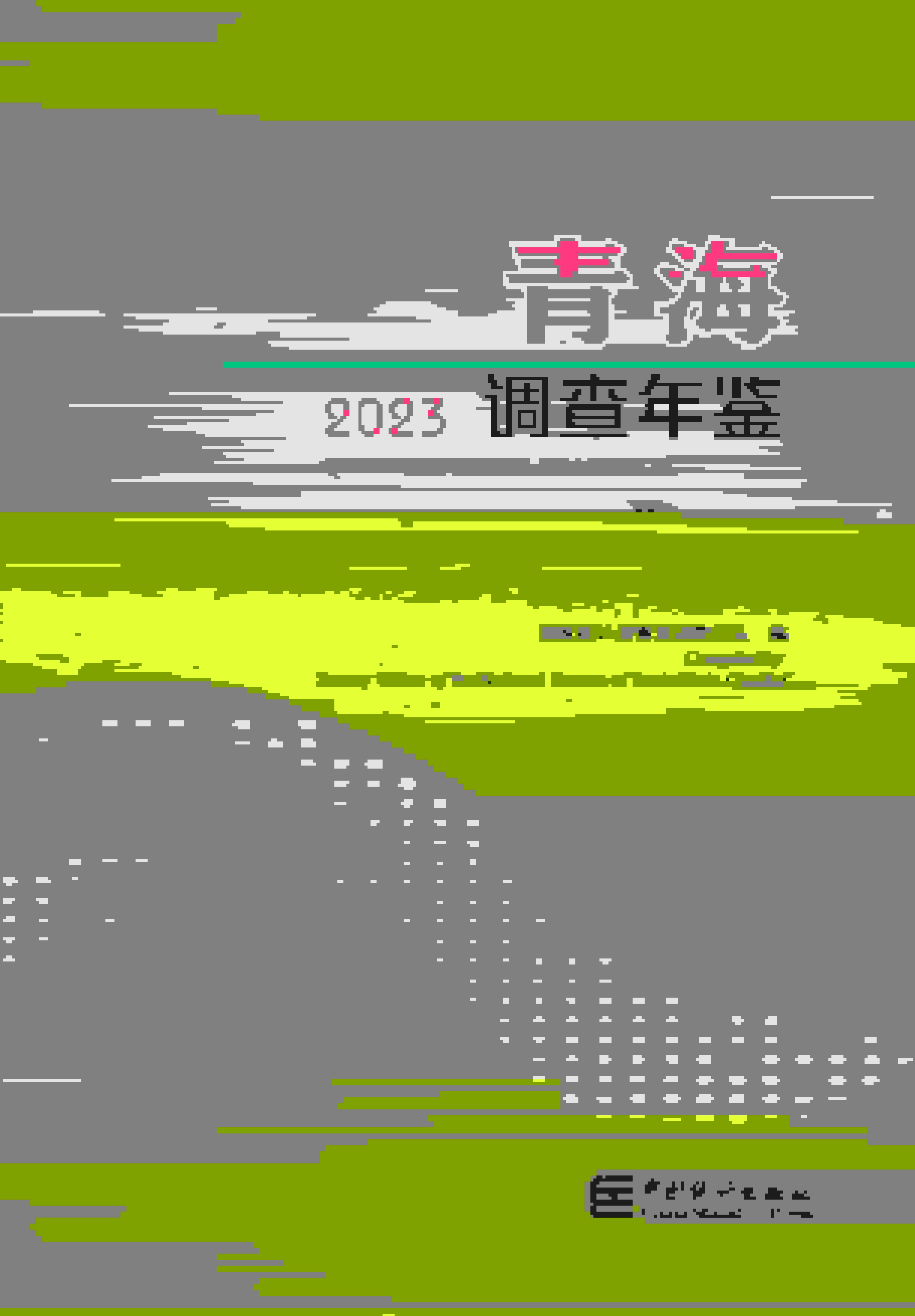 2023年青海调查年鉴封面