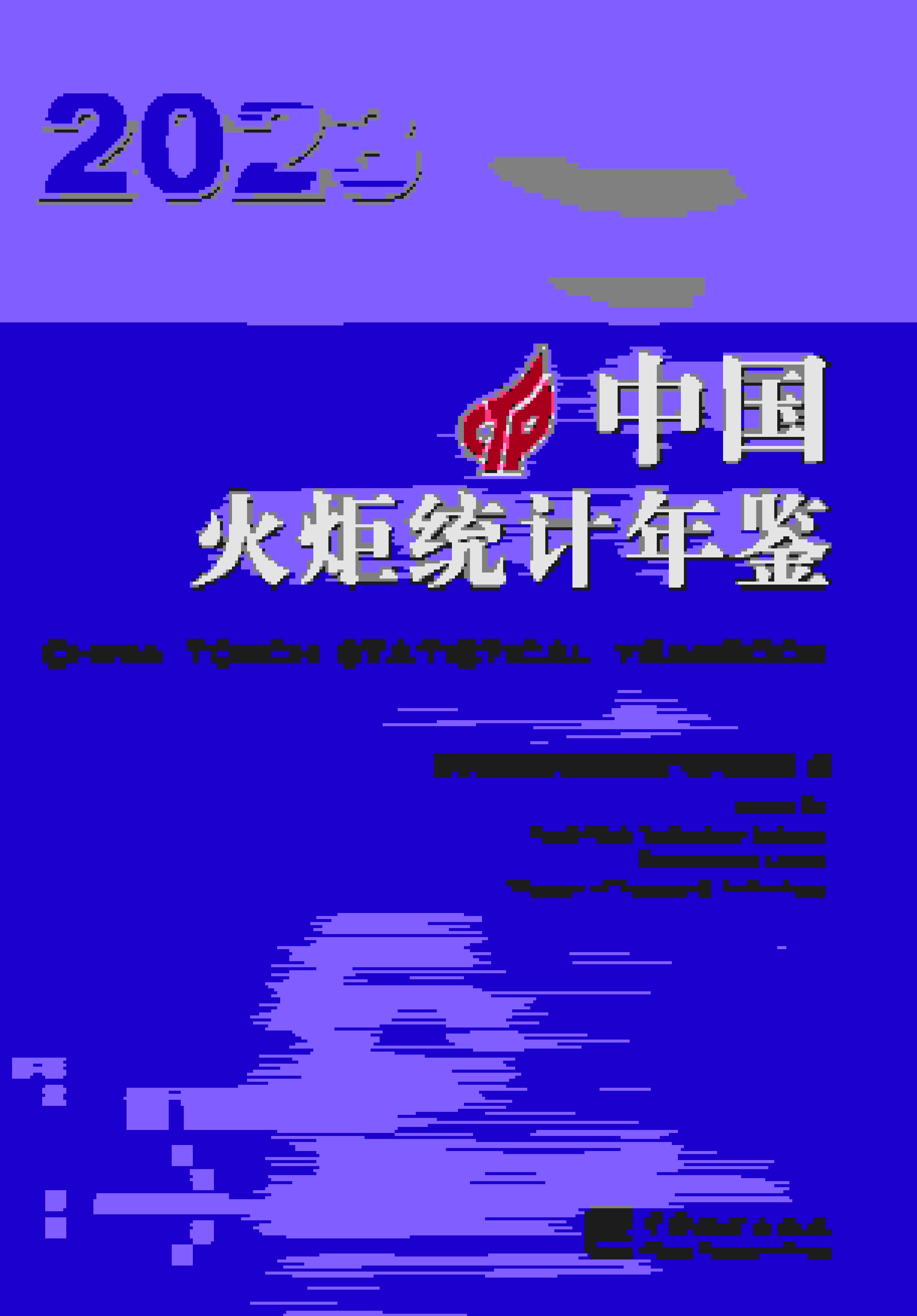 2023年中国火炬统计年鉴封面
