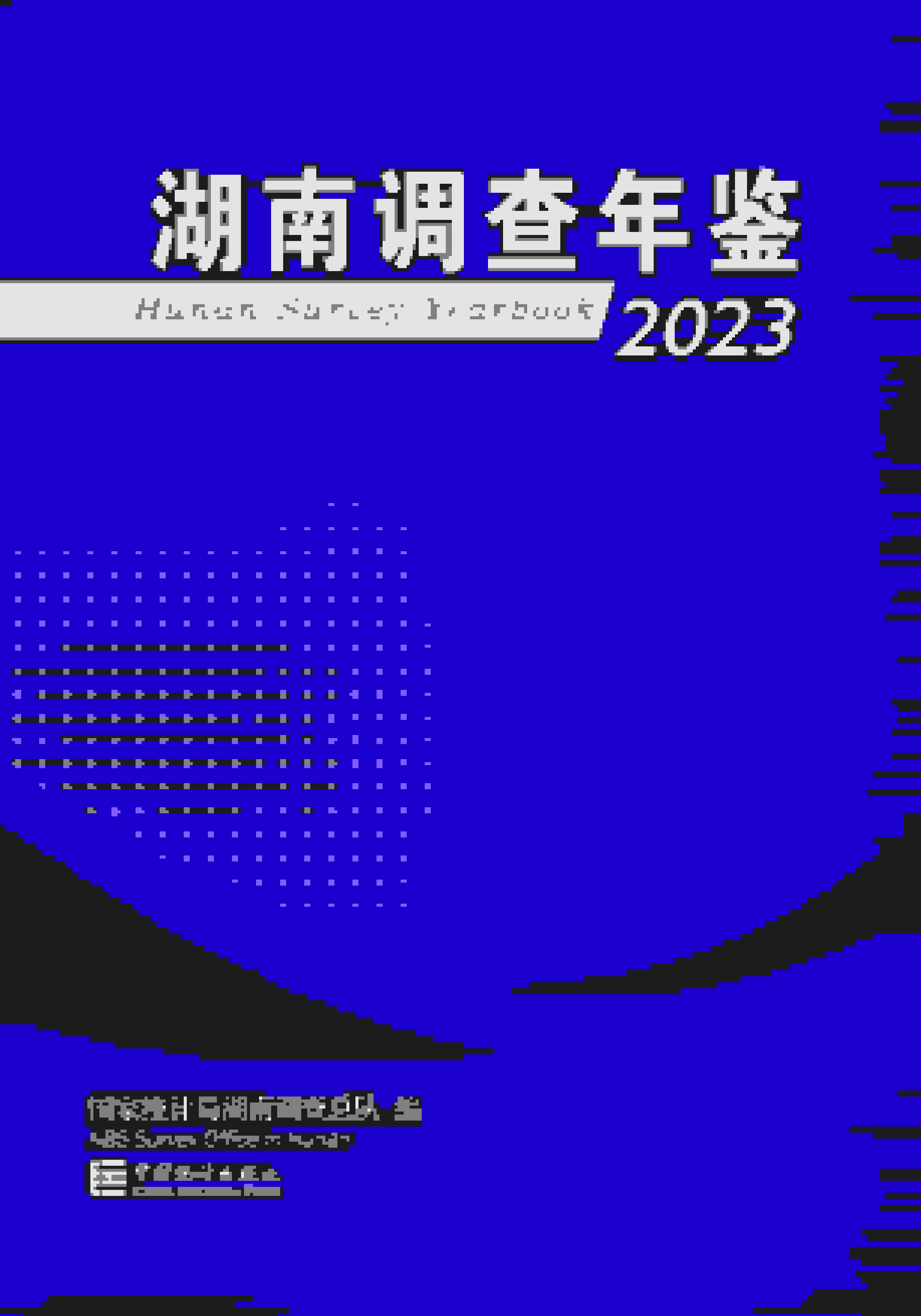 2023年湖南调查年鉴封面