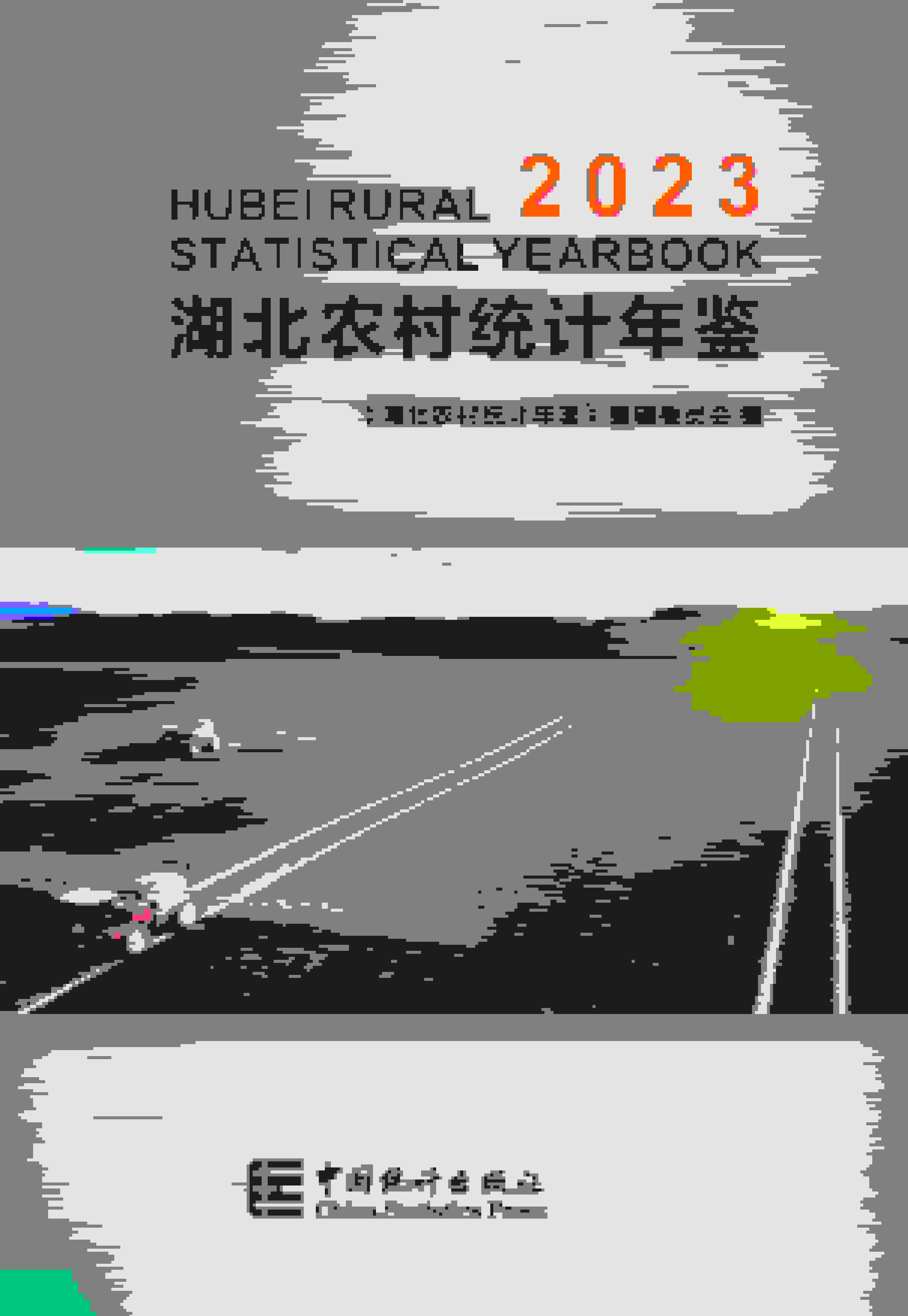 2023年湖北农村统计年鉴封面