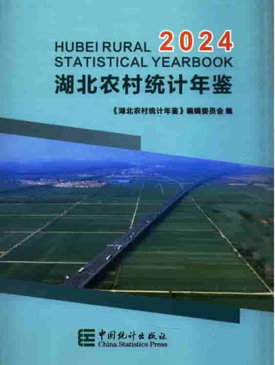 2024年湖北农村统计年鉴封面