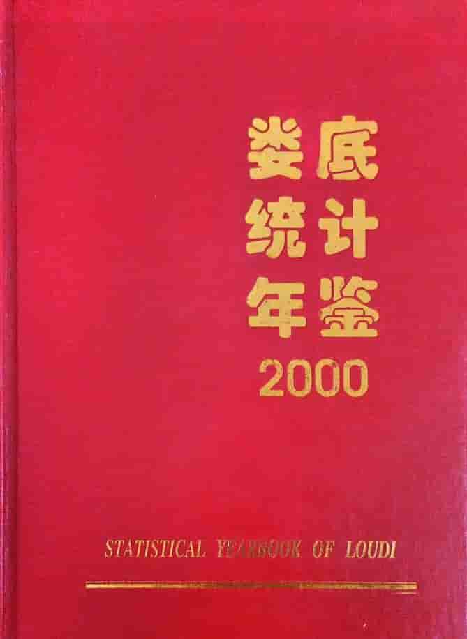 2000年娄底统计年鉴封面