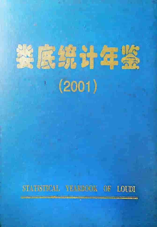 2001年娄底统计年鉴封面