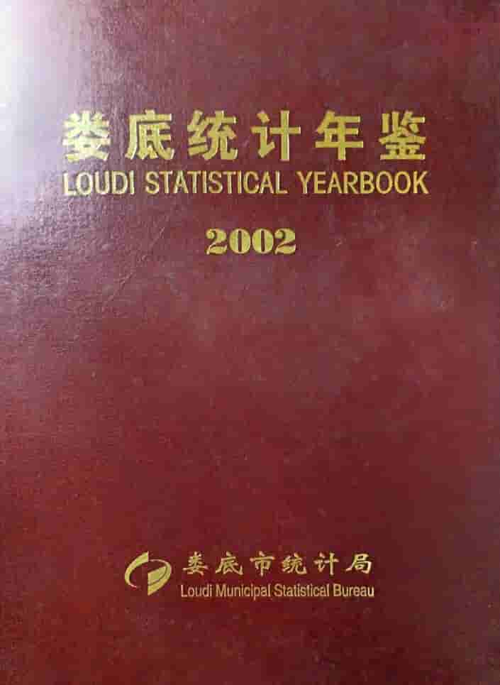2002年娄底统计年鉴封面