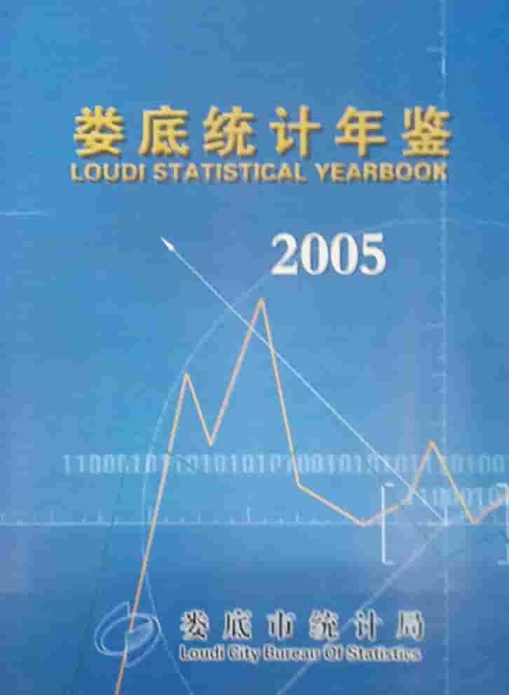 2005年娄底统计年鉴封面