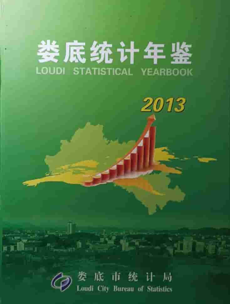 2013年娄底统计年鉴封面