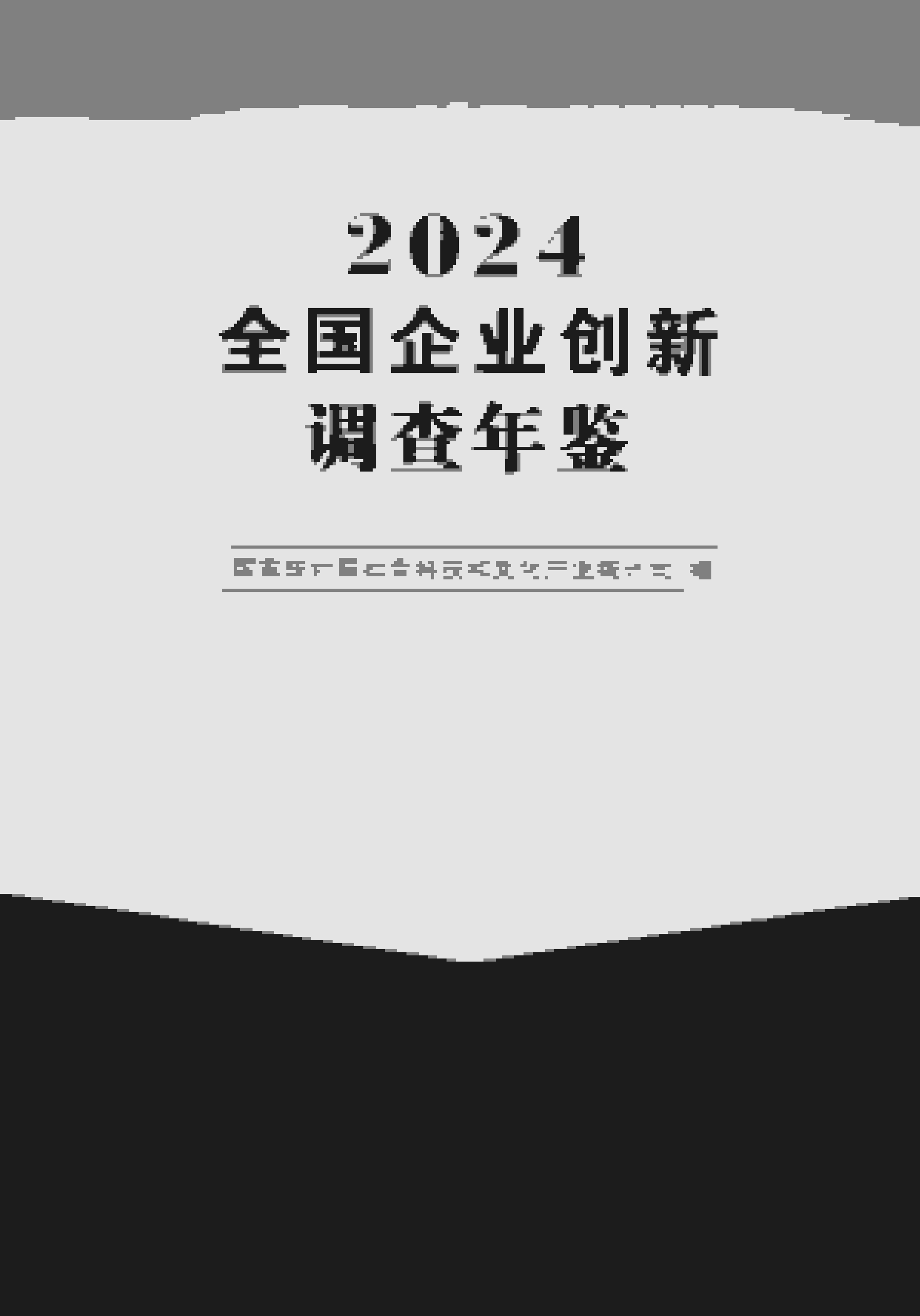 2024年全国企业创新调查年鉴封面
