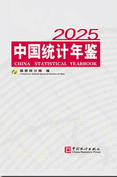 2025年中国统计年鉴封皮