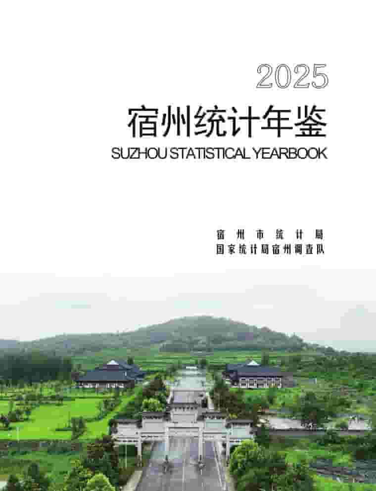 2025年宿州统计年鉴封面