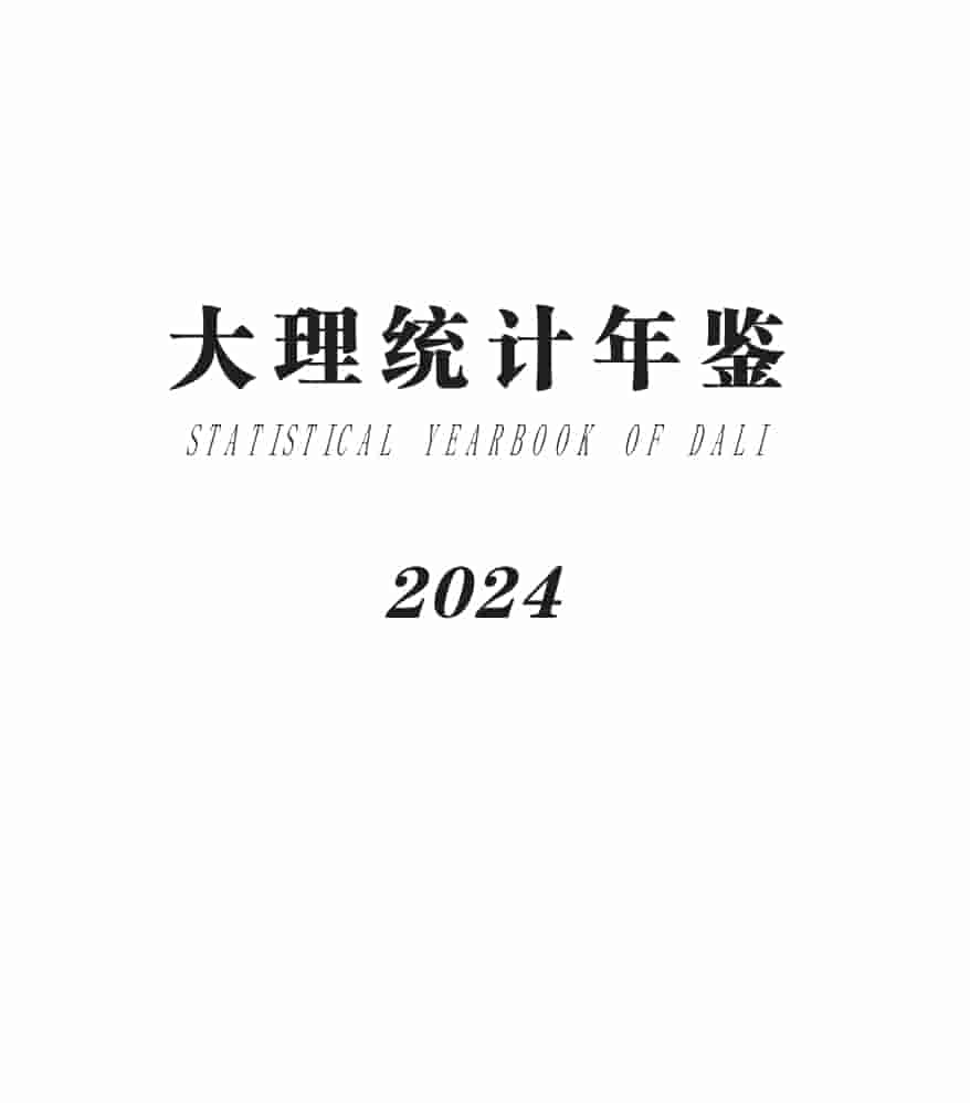 2024年大理统计年鉴封面