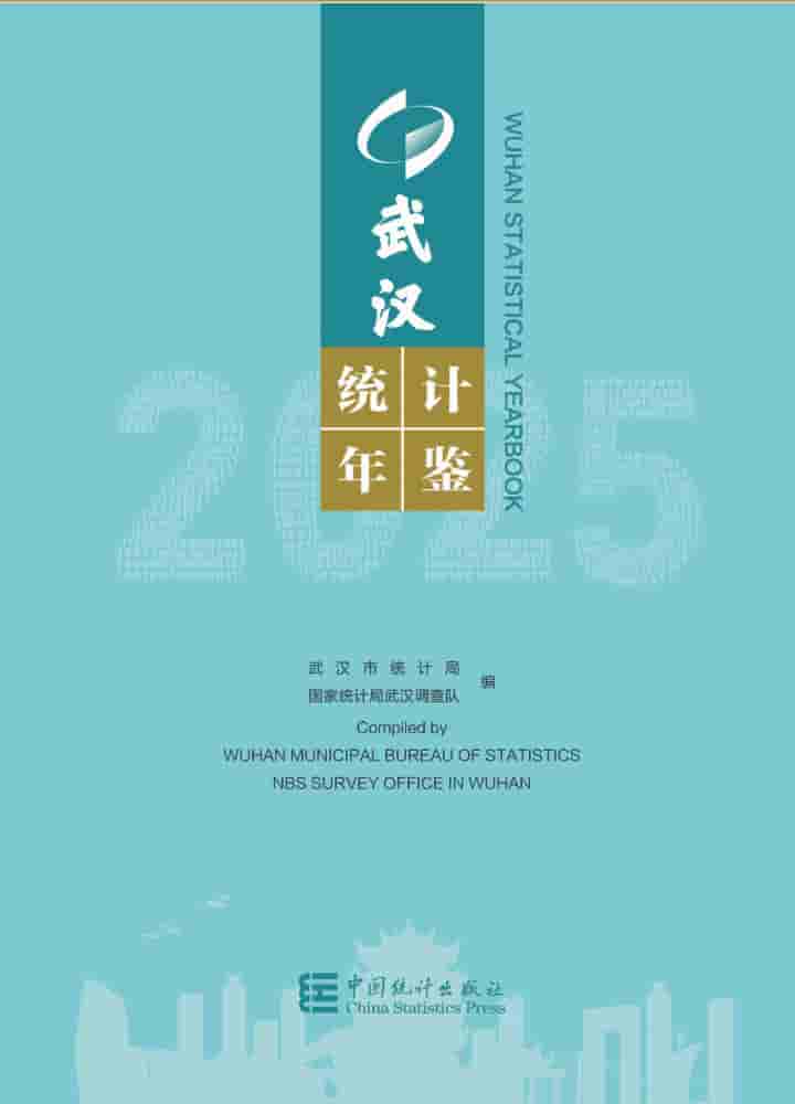 2025年武汉统计年鉴封面