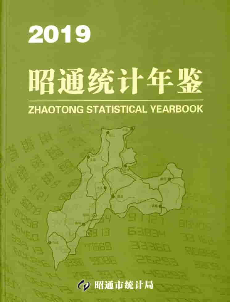 2019年昭通统计年鉴封皮