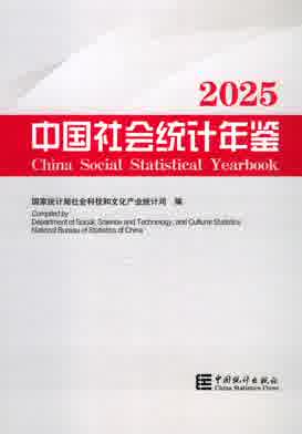 2025年中国社会统计年鉴封皮